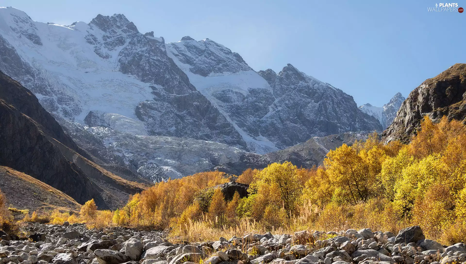 trees, Mountains, Stones, autumn, viewes, canyon