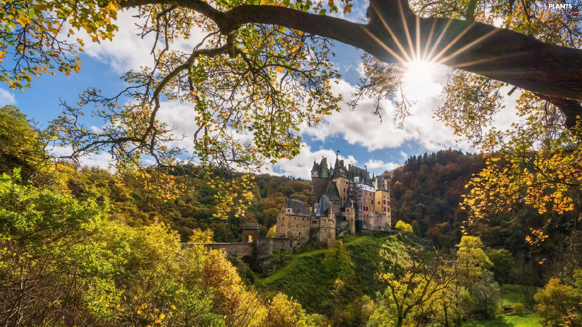 forest, Rhineland-Palatinate, Eifel Mountains, viewes, Eltz Castle, Germany, Municipality Wierschem, rays of the Sun, trees, autumn