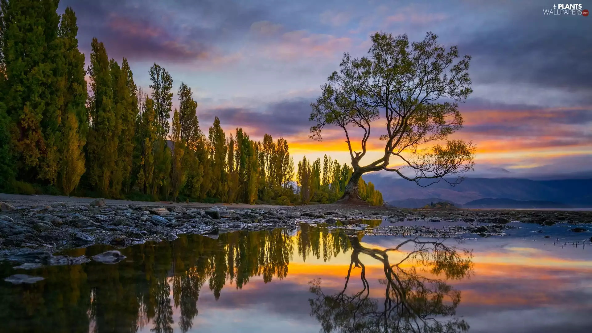 autumn, trees, reflection, Mountains, Wanaka Lake, clouds, New Zeland