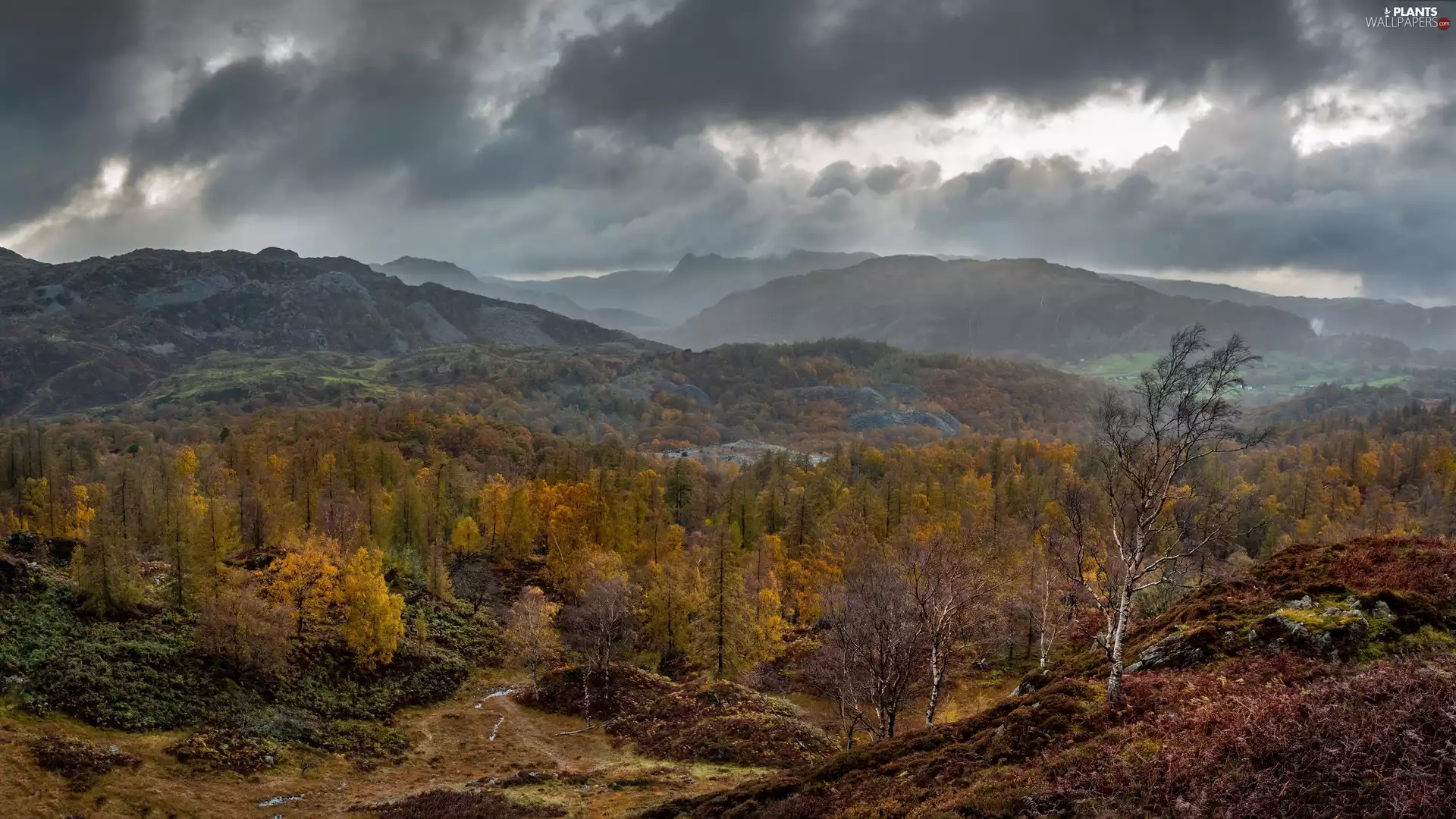 woods, Mountains, viewes, autumn, trees, clouds