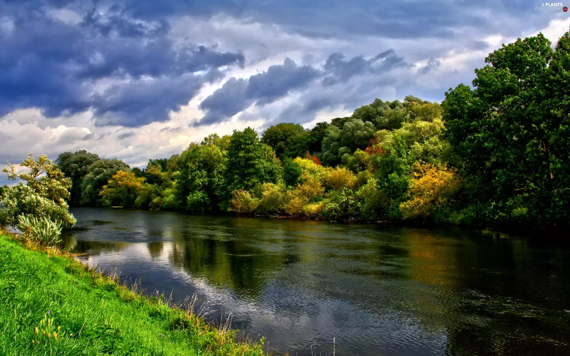 trees, River, clouds, autumn, viewes, color