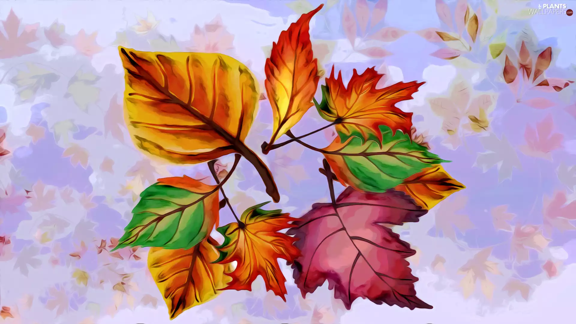 color, Leaf, graphics, Autumn