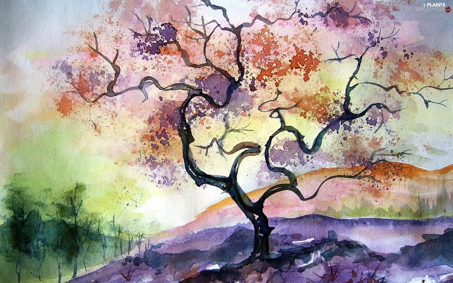 copy, trees, Watercolors, autumn