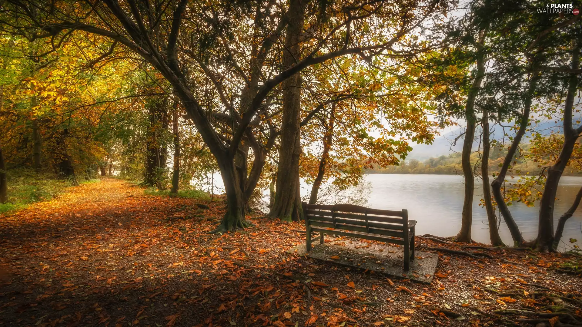 Lake District, Great Britain, Path, Park, viewes, autumn, Lake Coniston Water, Cumbria, England, Bench, trees