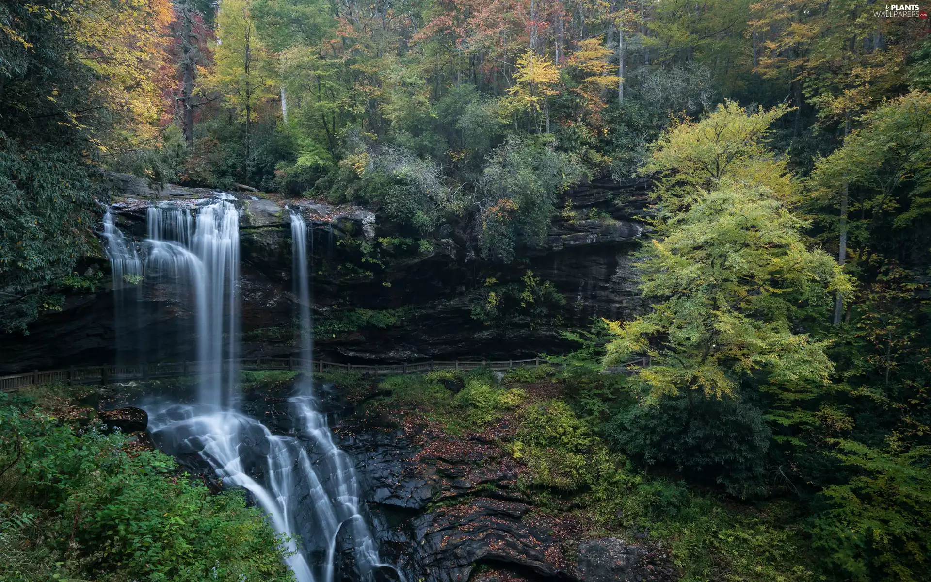 Viewpoint, waterfall, forest, autumn, rocks, fence