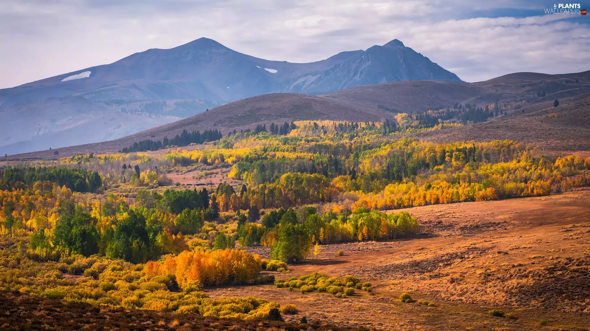viewes, car in the meadow, Mountains, trees, autumn
