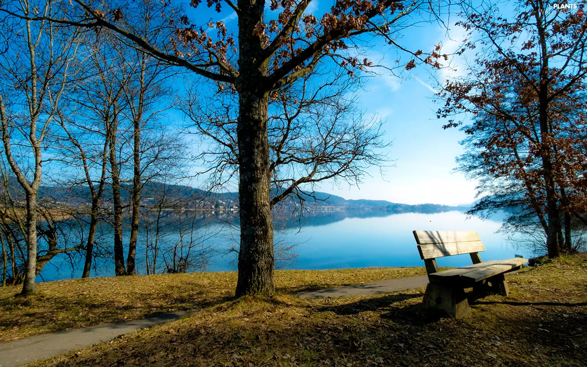 viewes, autumn, lake, trees, Bench