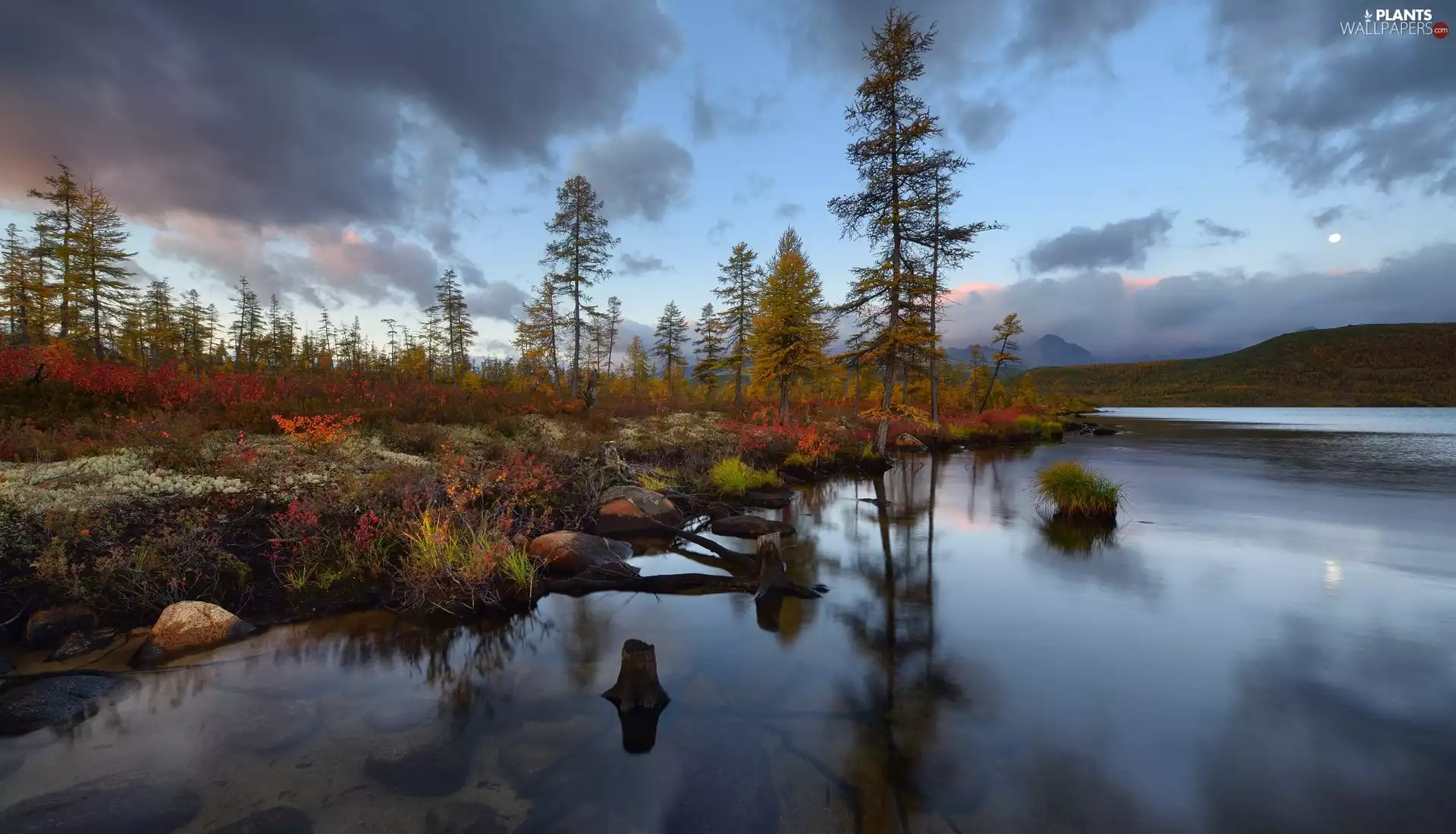 autumn, Russia, trees, viewes, Jack London Lake, Magadan Circuit