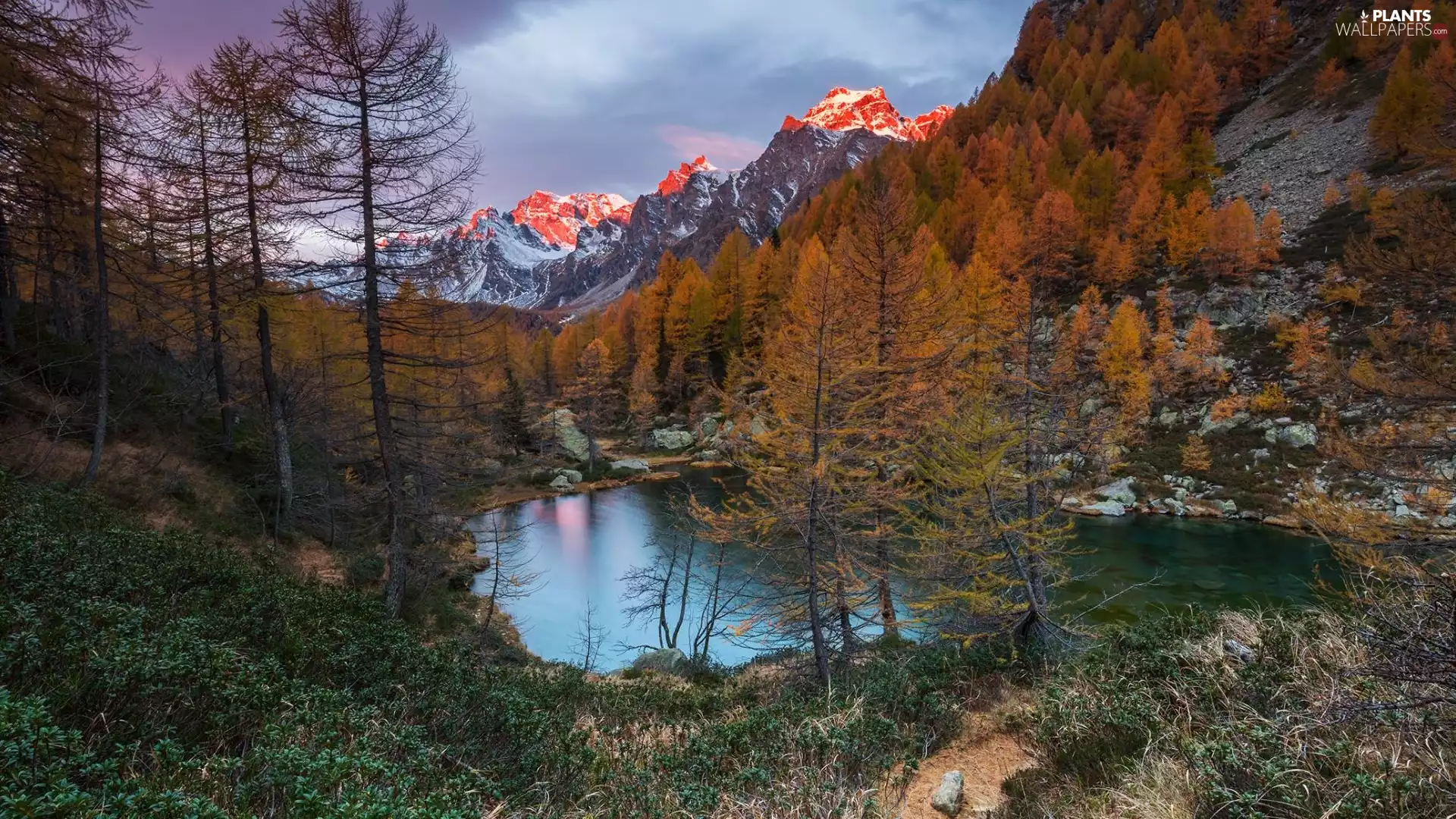 trees, Mountains, VEGETATION, autumn, viewes, lake