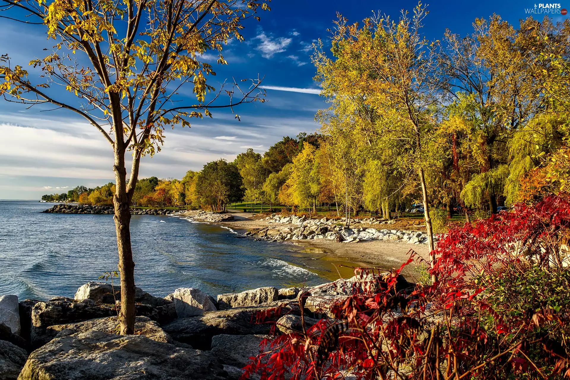 lake, trees, viewes, autumn