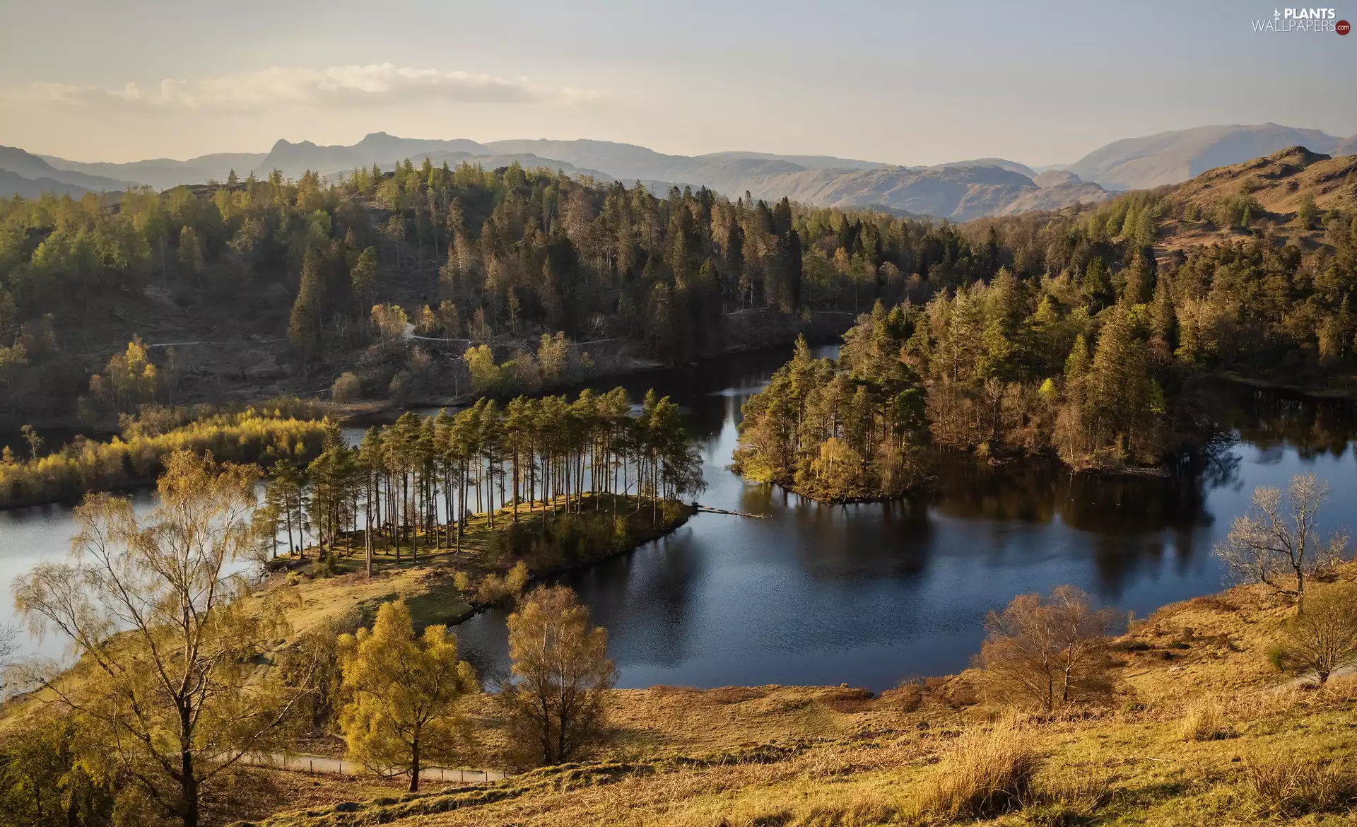 woods, Mountains, viewes, autumn, trees, lake