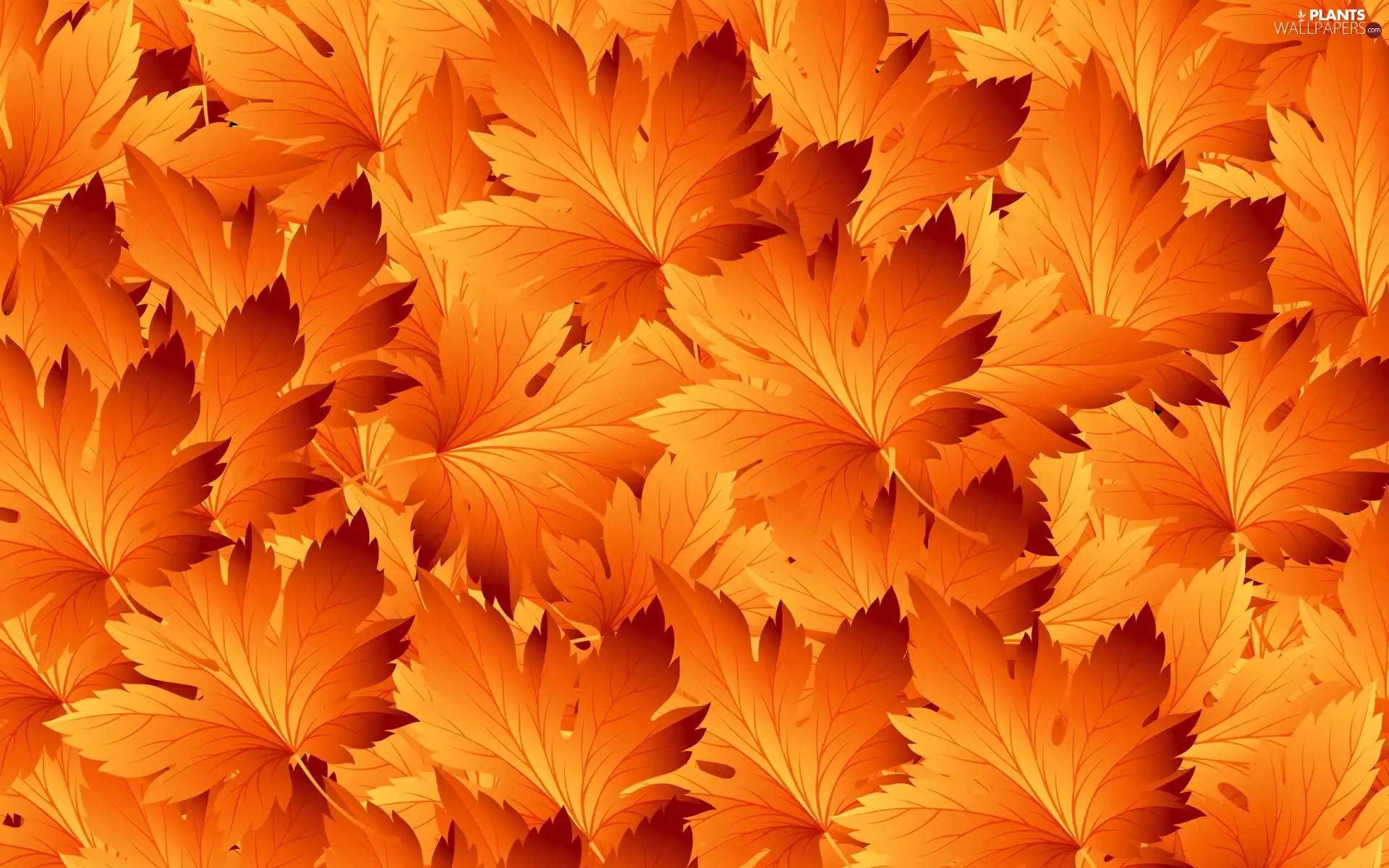 Leaf, maple, 2D, Autumn