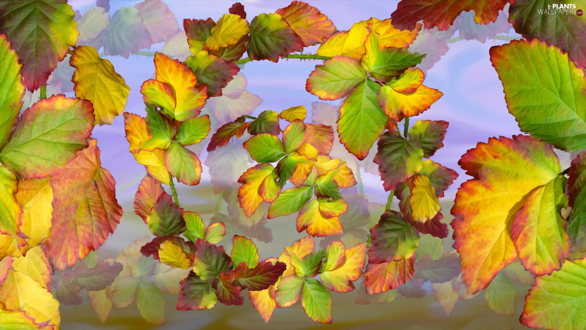 Yellow and Green, autumn, graphics, Leaf