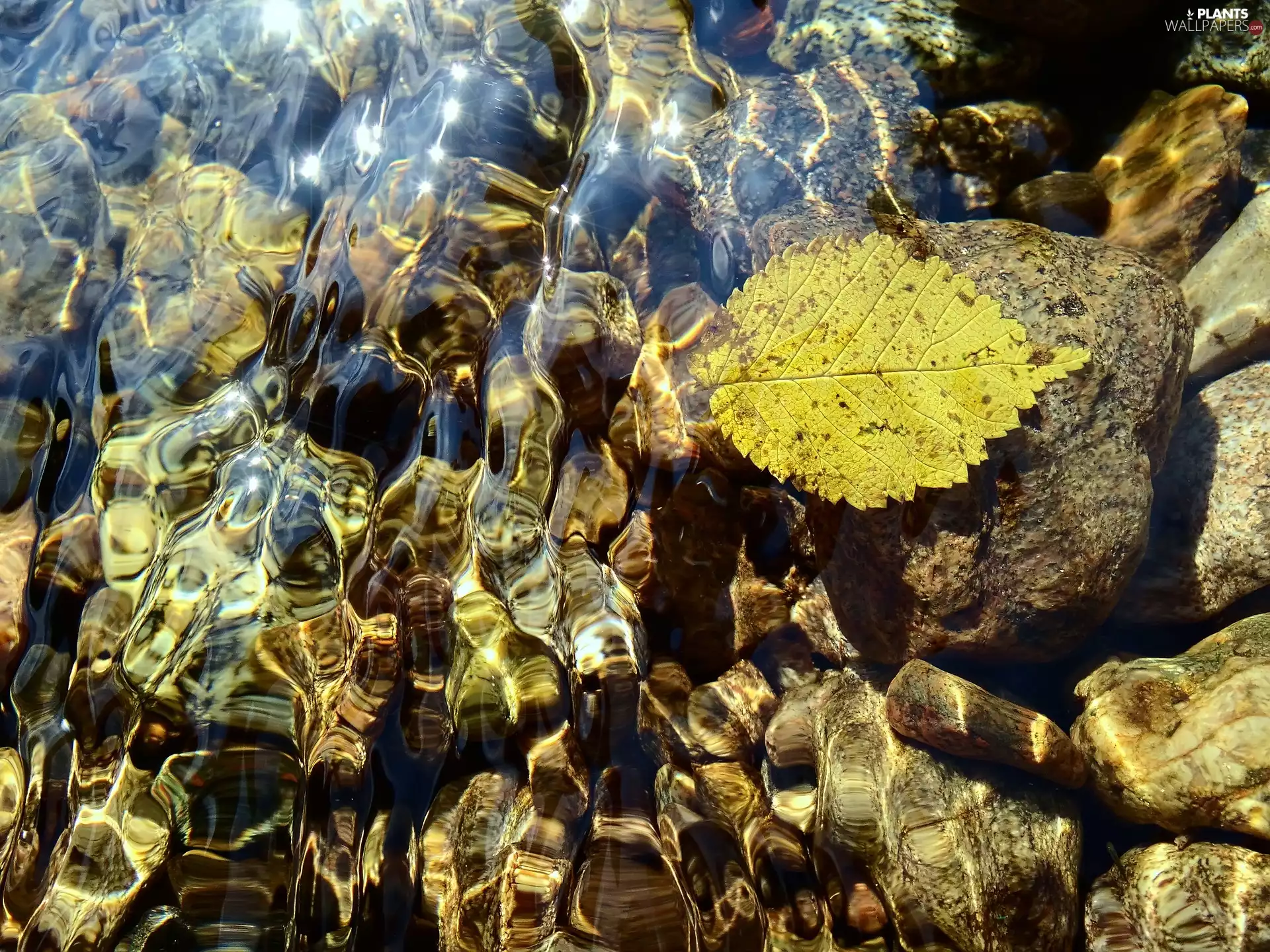 Autumn, leaf, Stones, runoff, flash, luminosity, ligh, sun, water