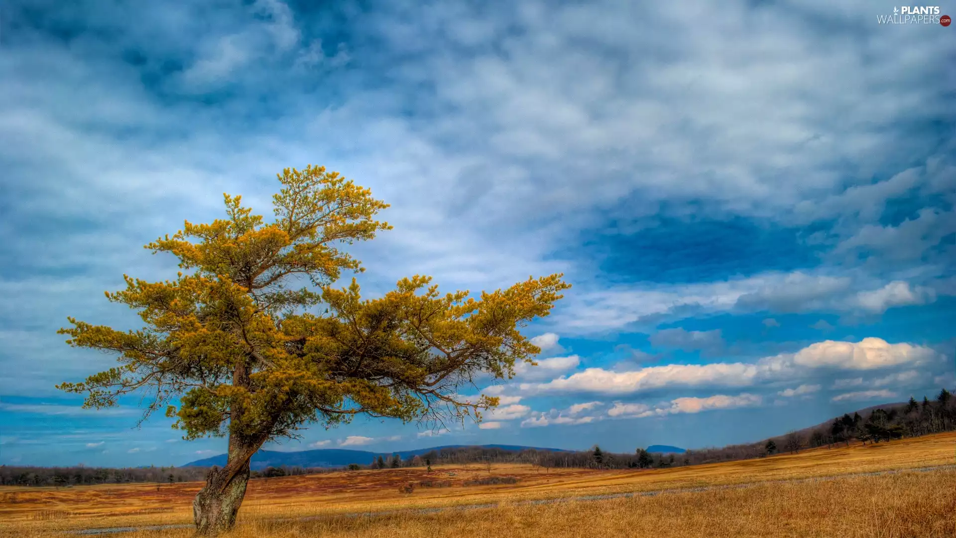 clouds, autumn, medows, Mountains, trees