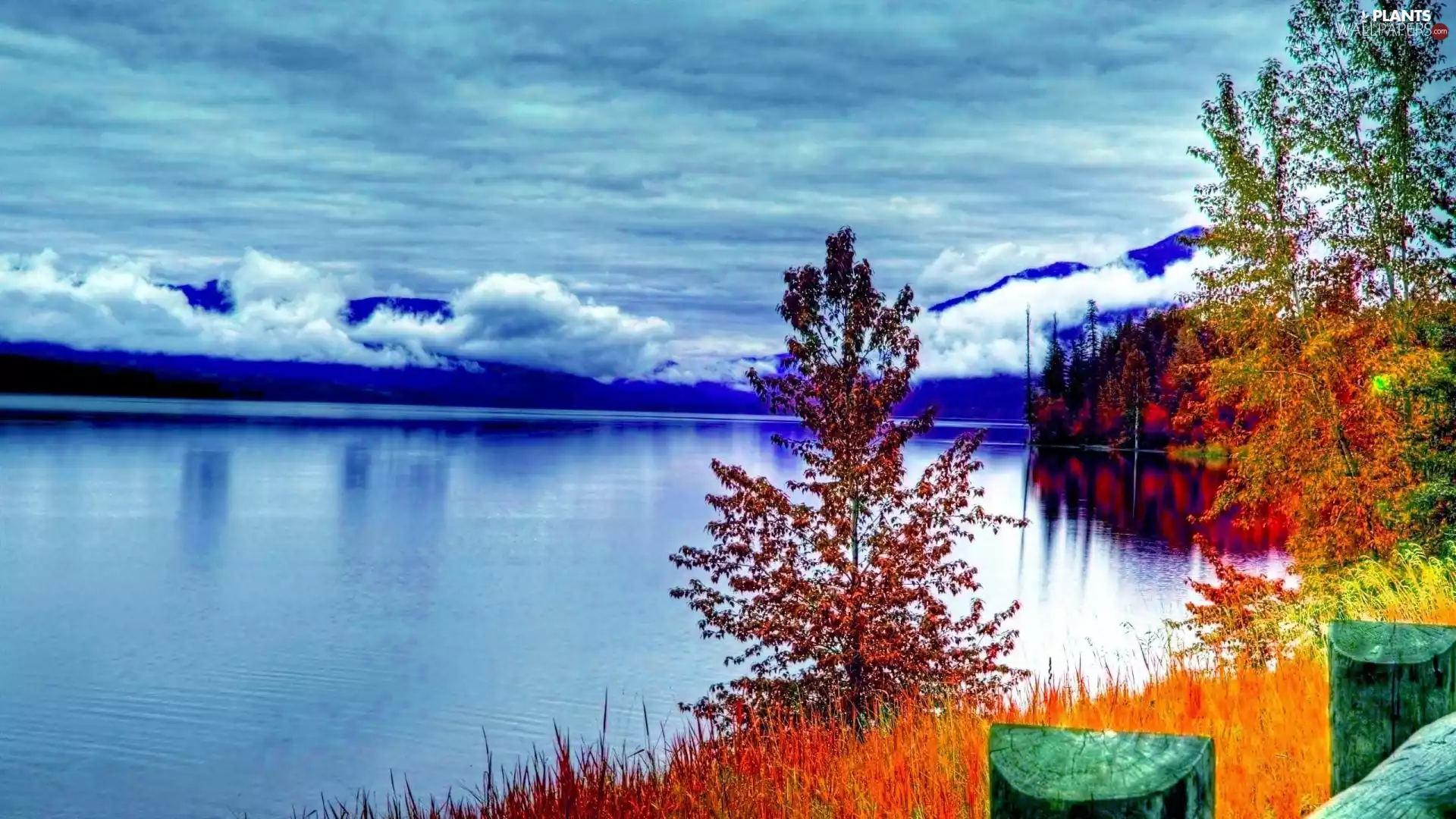woods, lake, Fog, autumn, clouds, Mountains