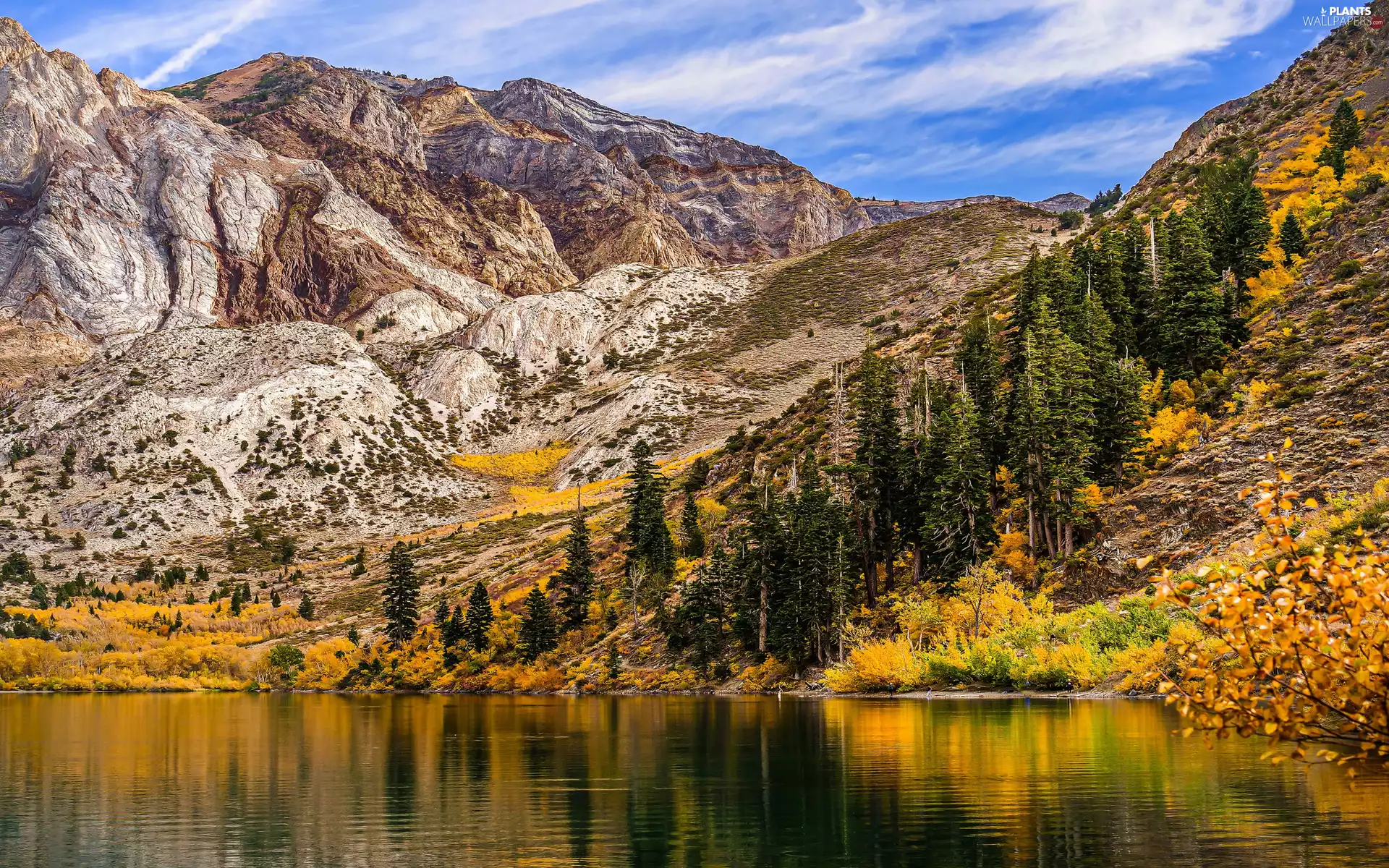 trees, Rocky, lake, autumn, viewes, Mountains