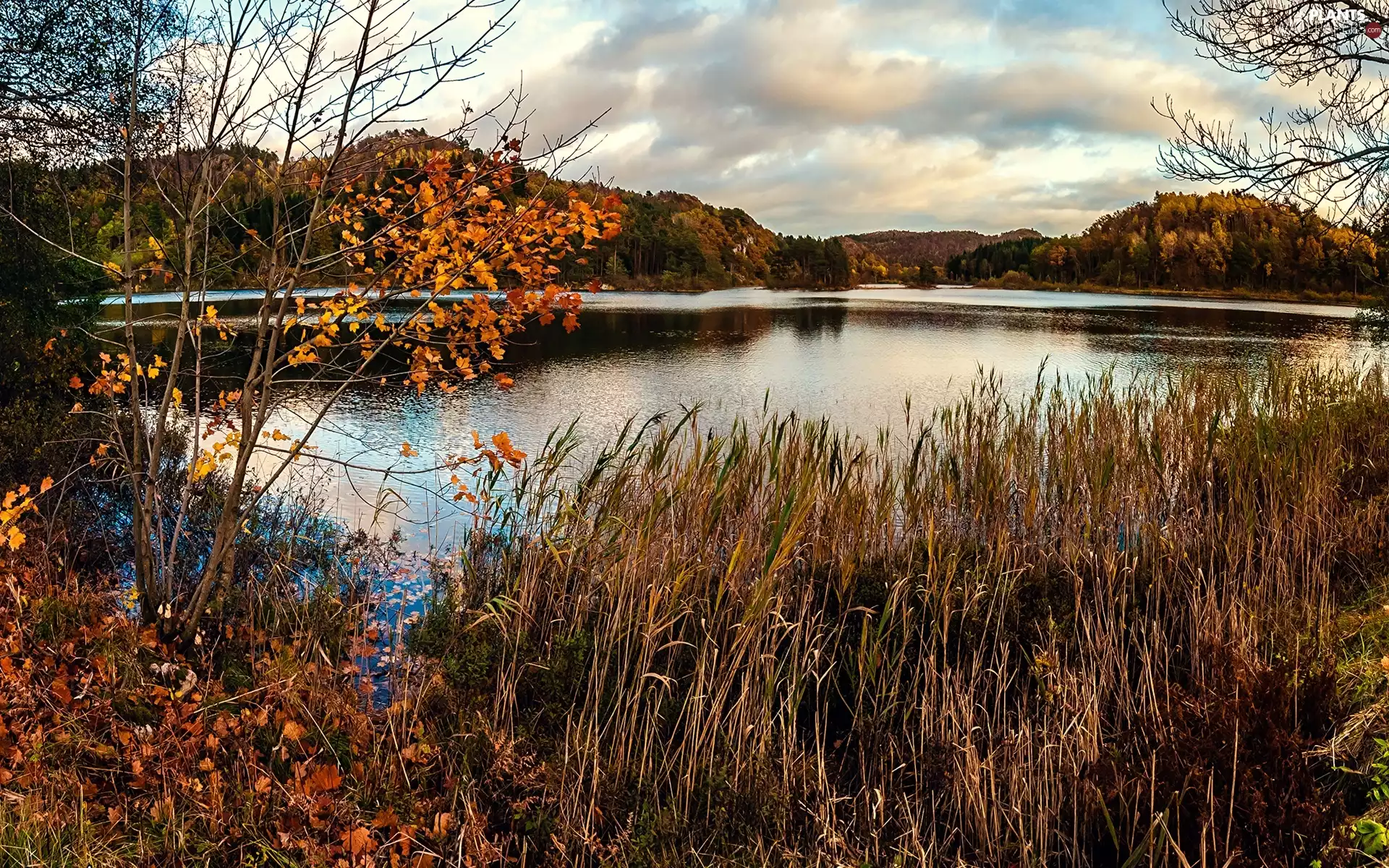 grass, autumn, Mountains, woods, lake
