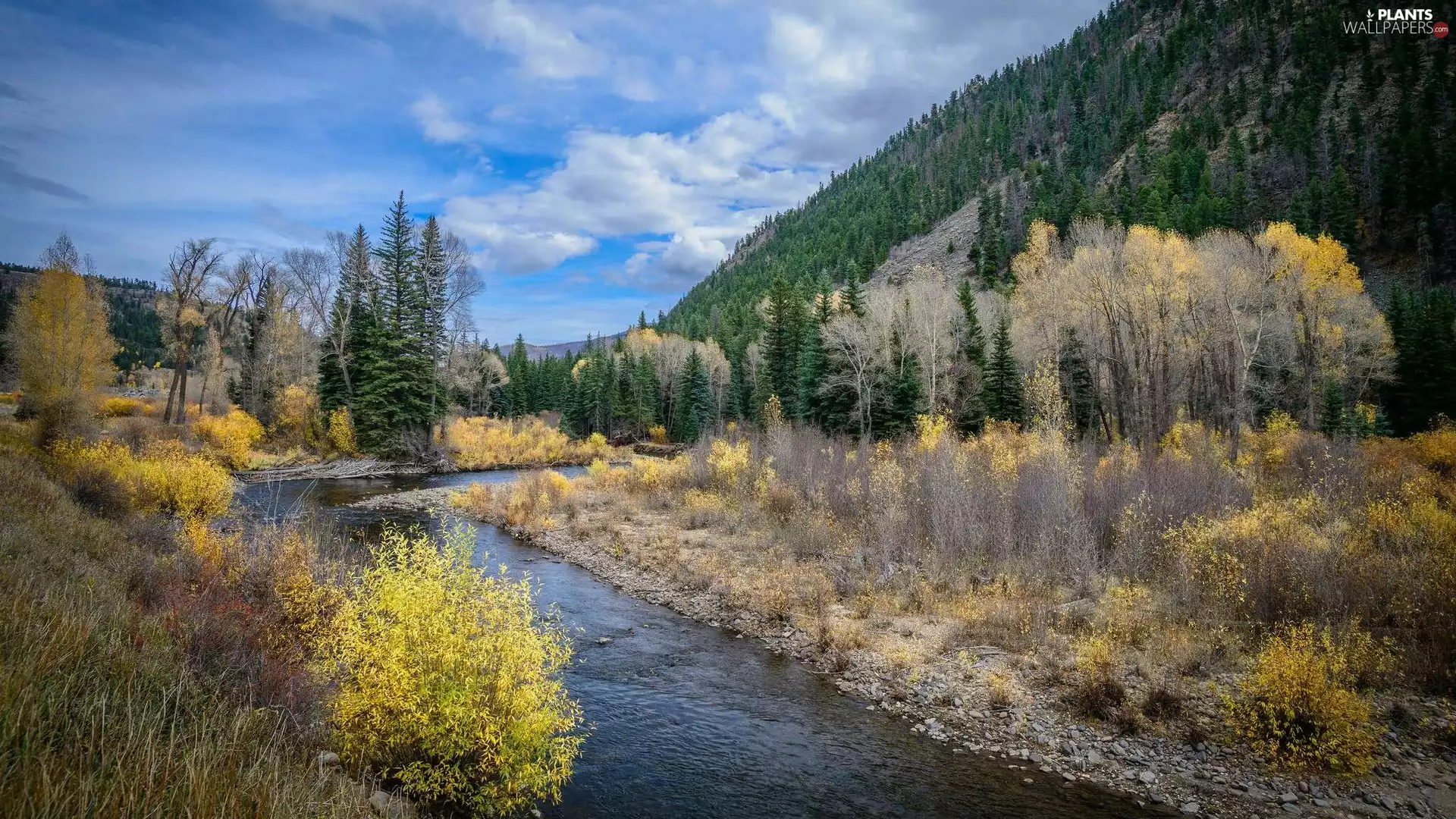 trees, River, VEGETATION, autumn, viewes, Mountains