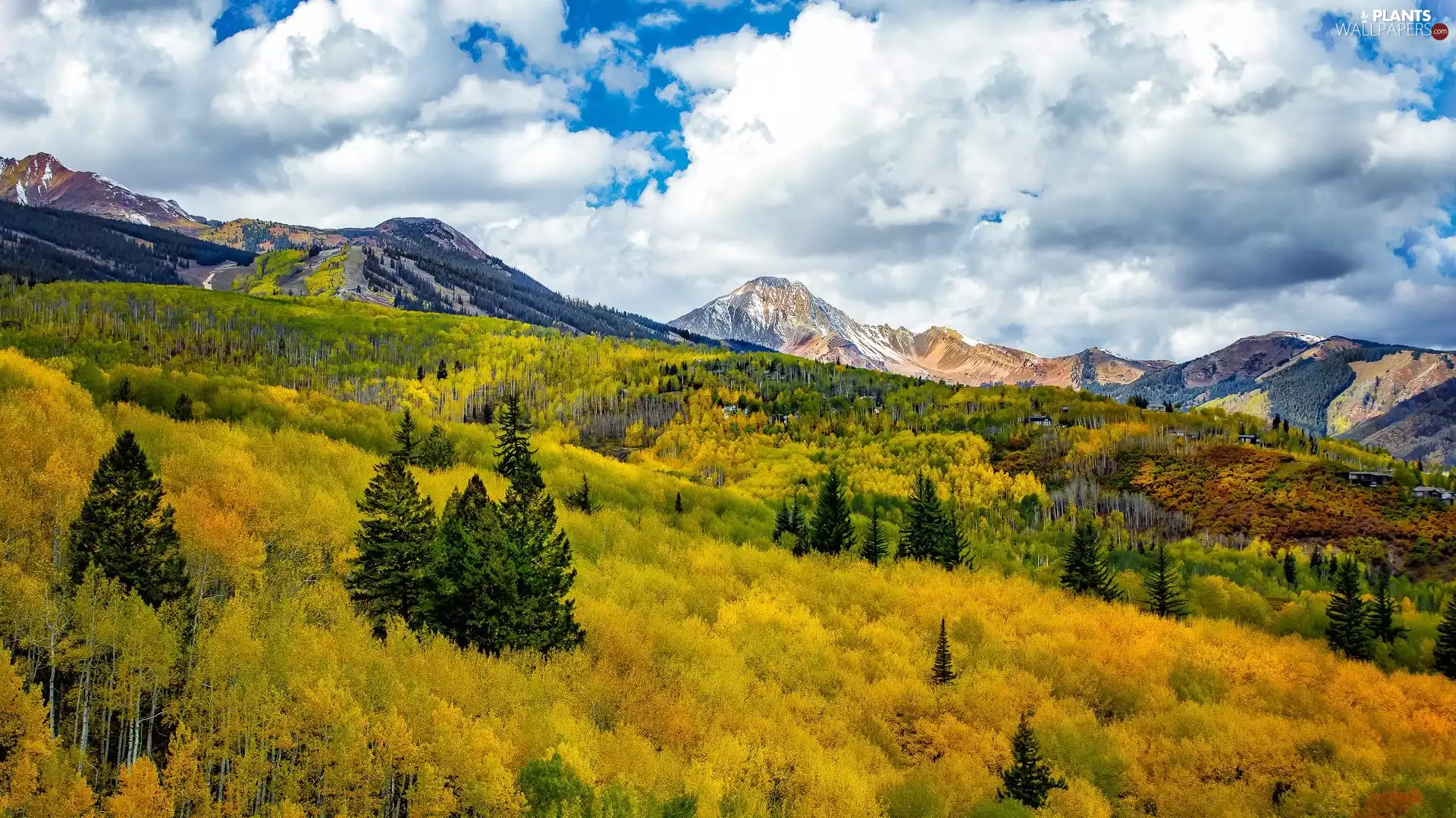 forest, clouds, viewes, autumn, trees, Mountains