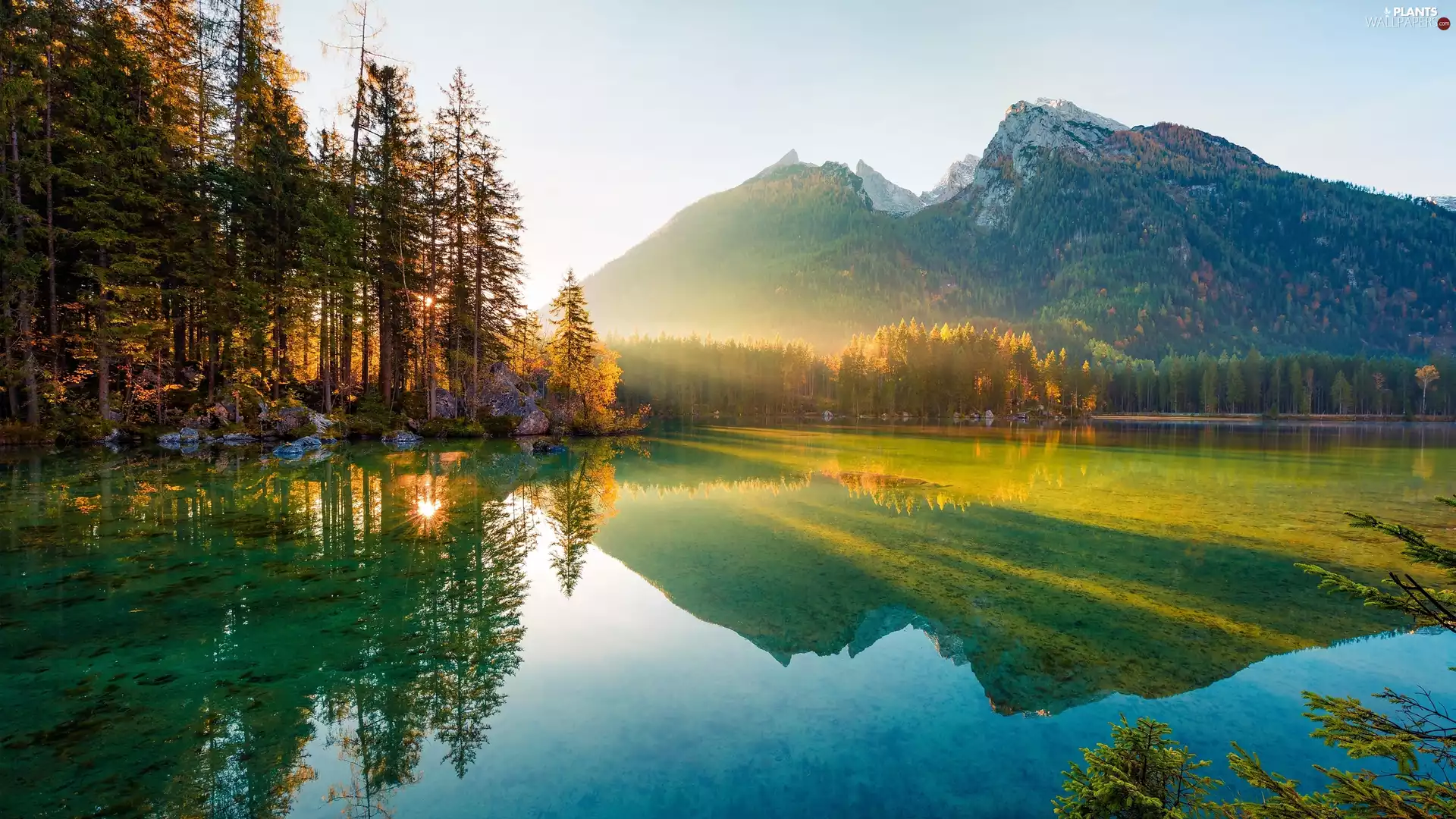 viewes, Bavaria, Mountains, Sunrise, Bavarian Alps, Germany, Lake Hintersee, autumn, woods, trees