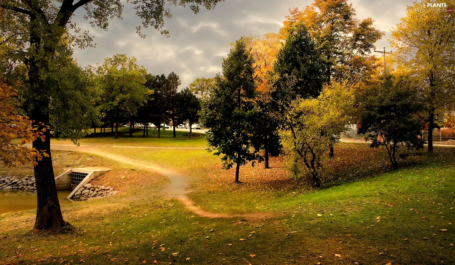 Park, viewes, autumn, trees