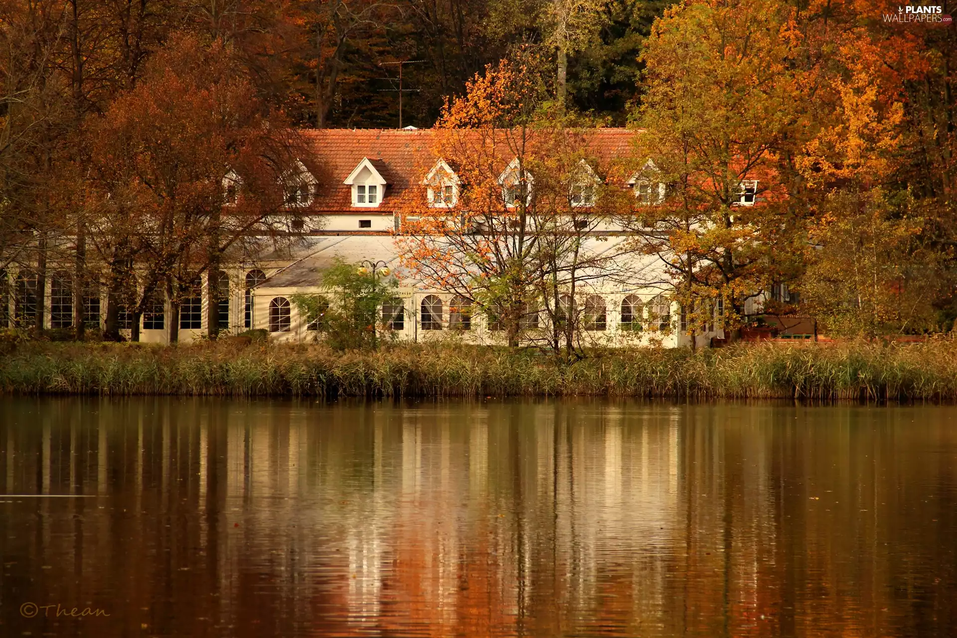 reflection, trees, Poznań, viewes, lake, Meridian Restaurant, autumn