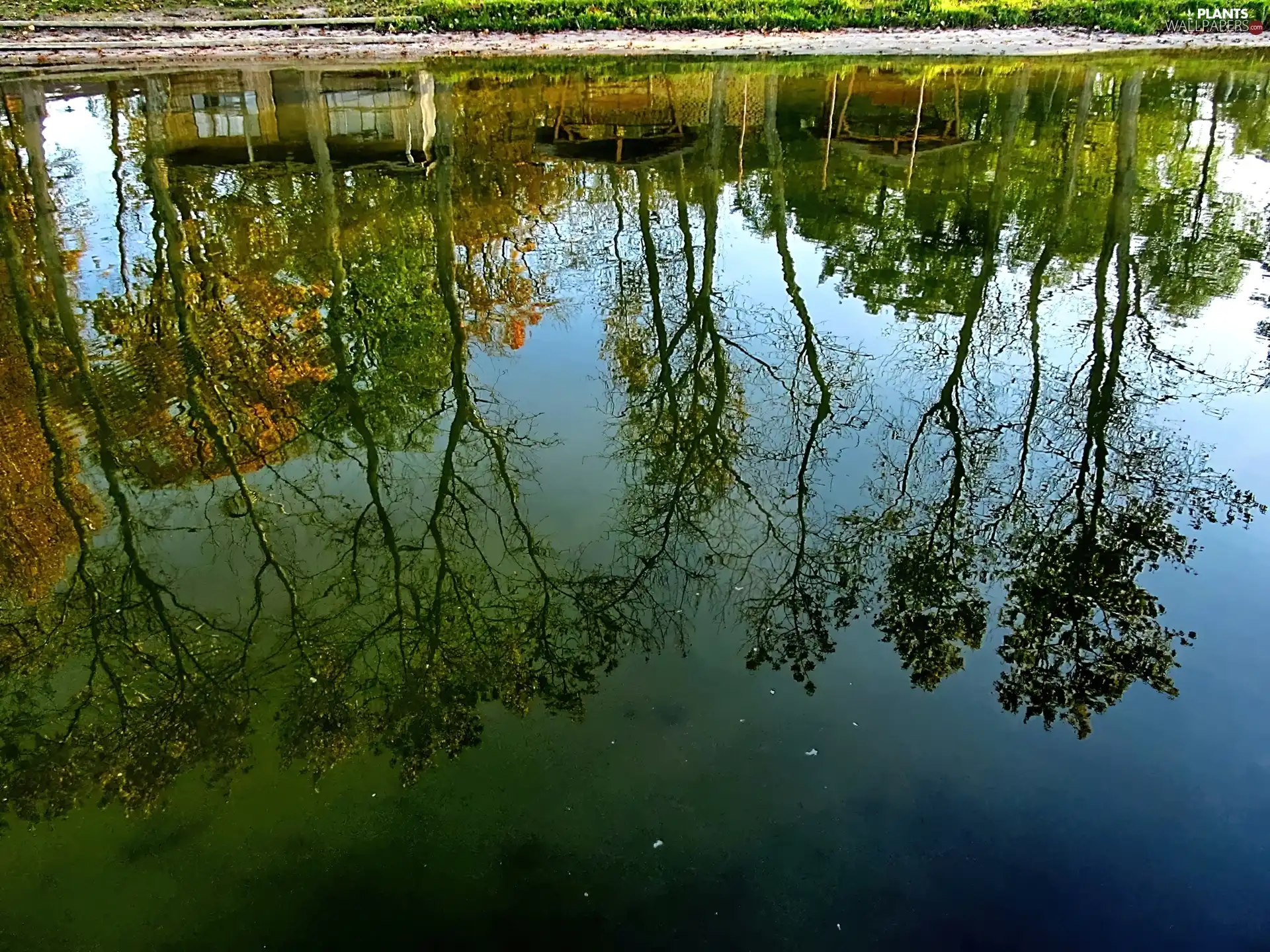 autumn, reflection, trees, viewes, lake