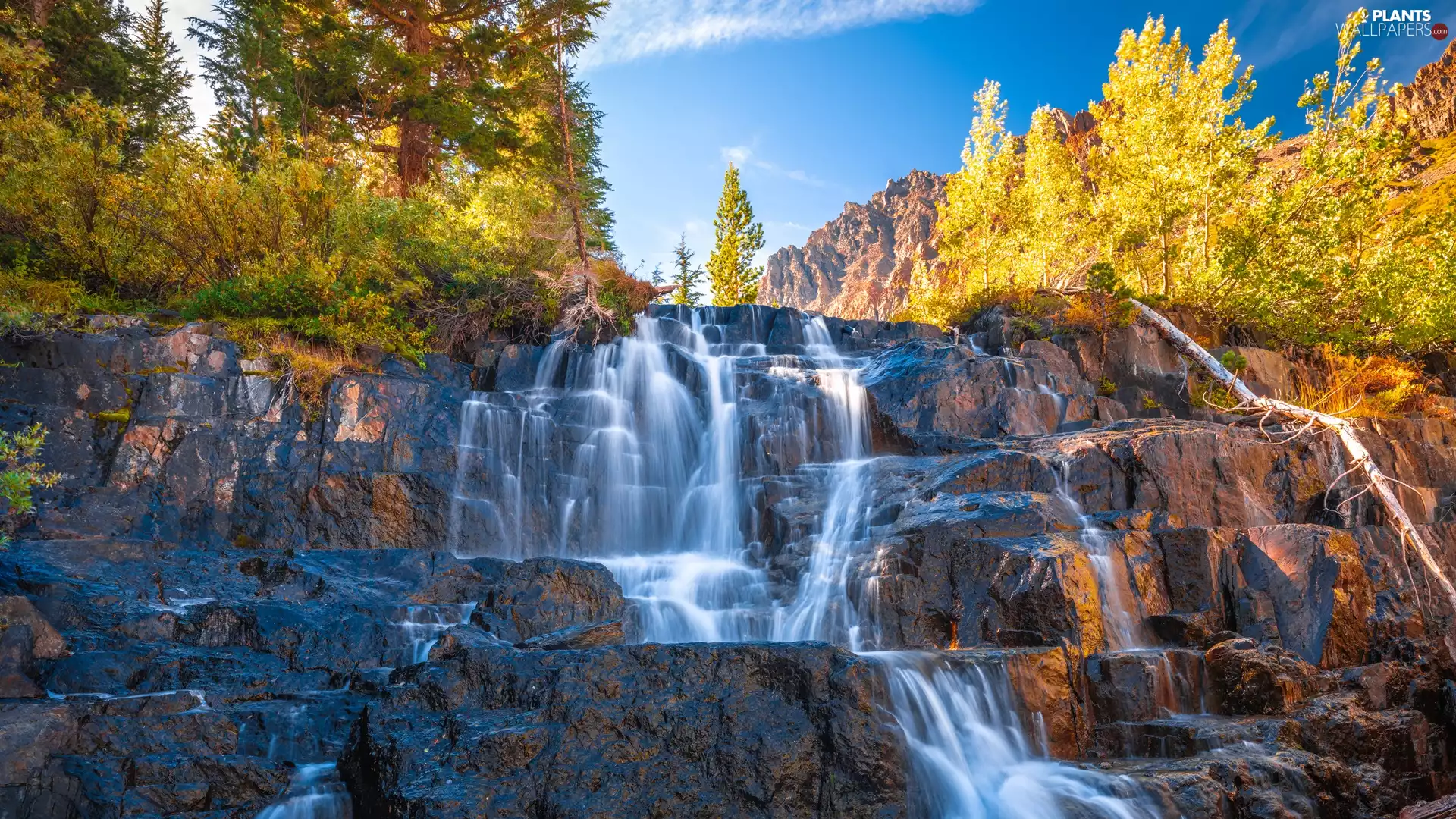trees, waterfall, Bush, autumn, viewes, rocks