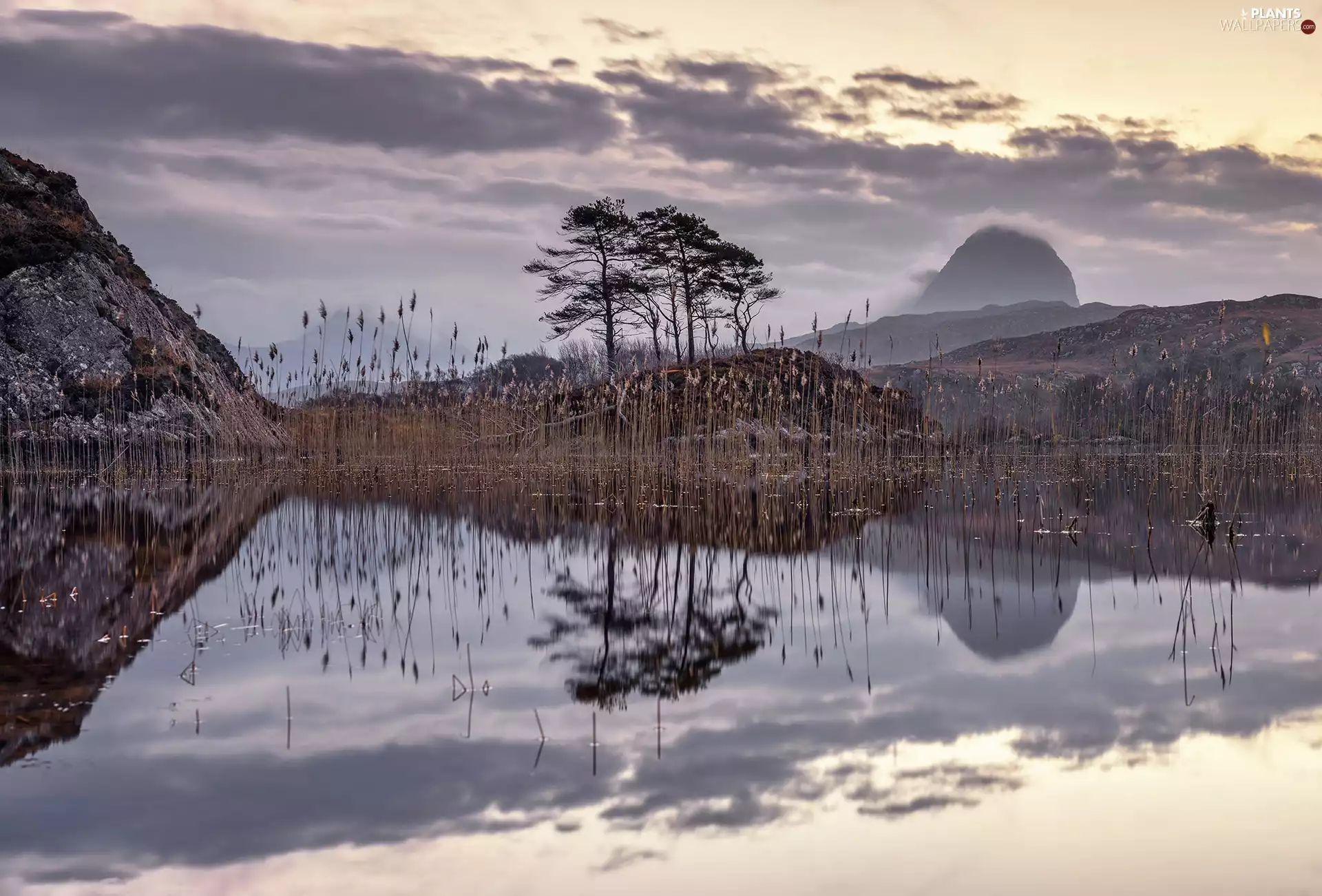 The Hills, rushes, viewes, grass, lake, trees, autumn