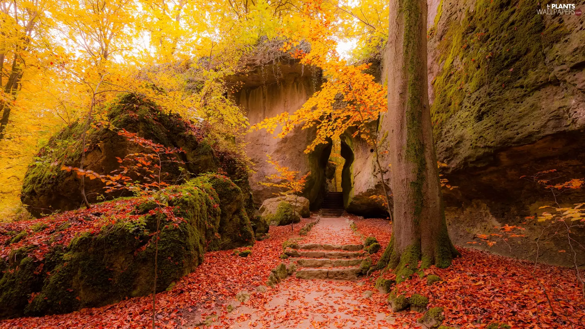 trees, rocks, rocks, autumn, viewes, Stairs