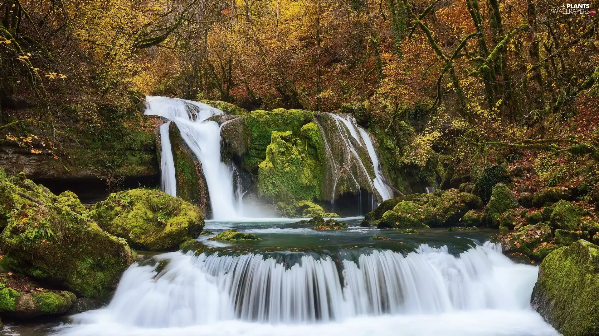 trees, forest, Stones, autumn, waterfall, viewes, mossy