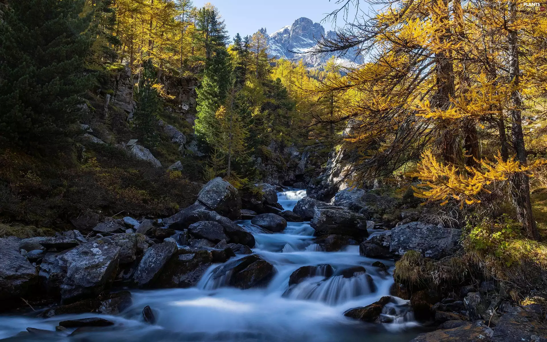 Mountains, River, viewes, autumn, trees, Stones