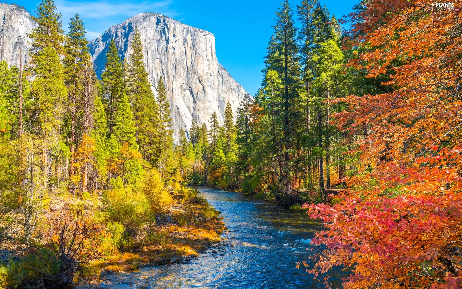 Yosemite National Park, autumn, Mountains, Merced River, viewes, California, The United States, trees