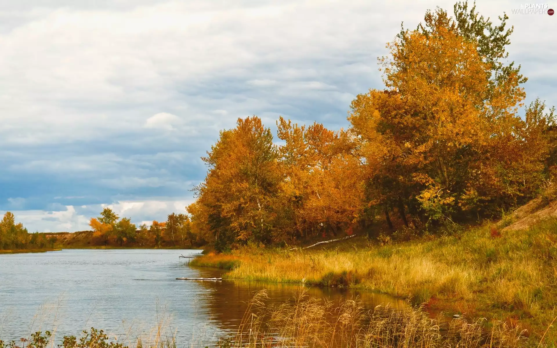 viewes, River, clouds, autumn, grass, trees