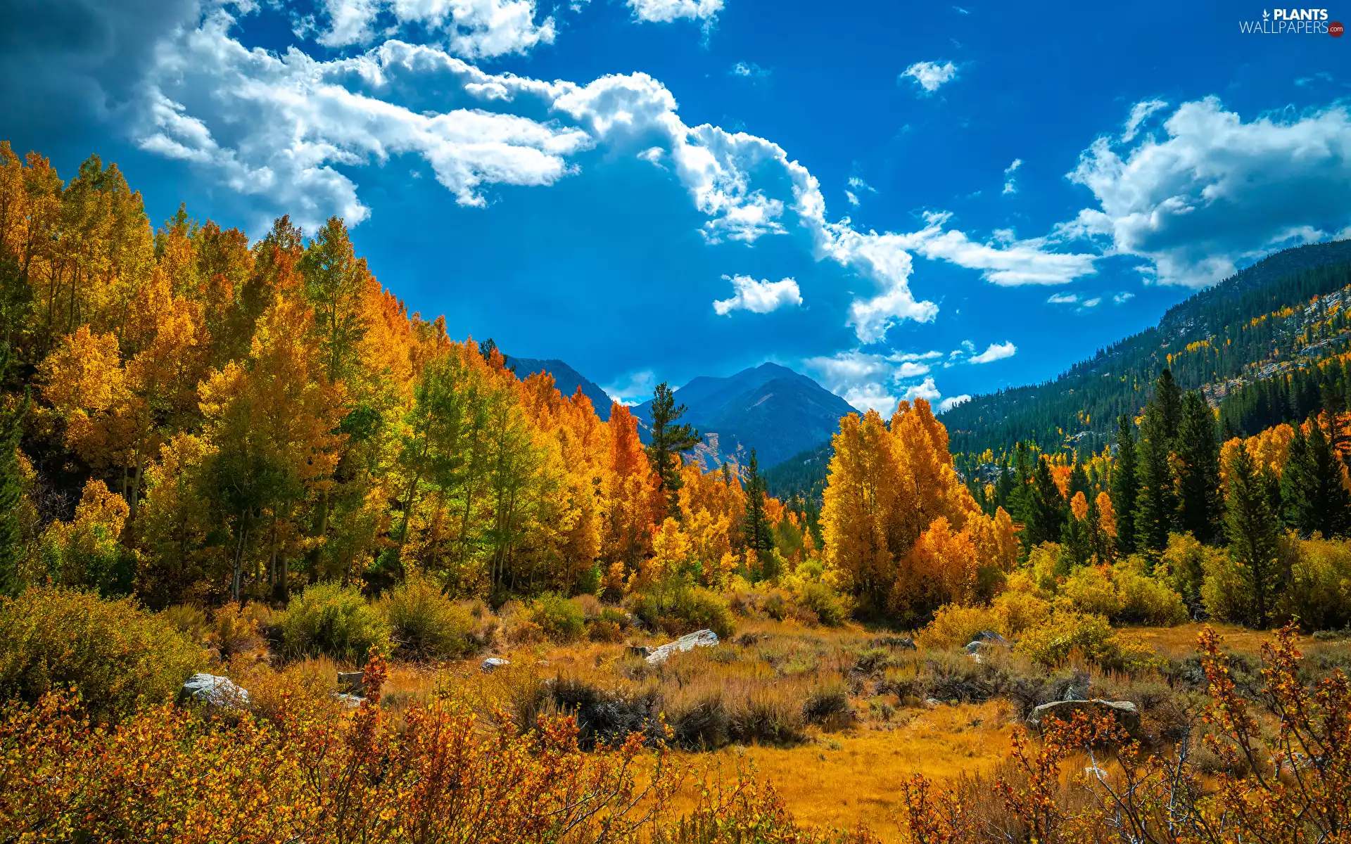 viewes, Mountains, clouds, autumn, woods, trees