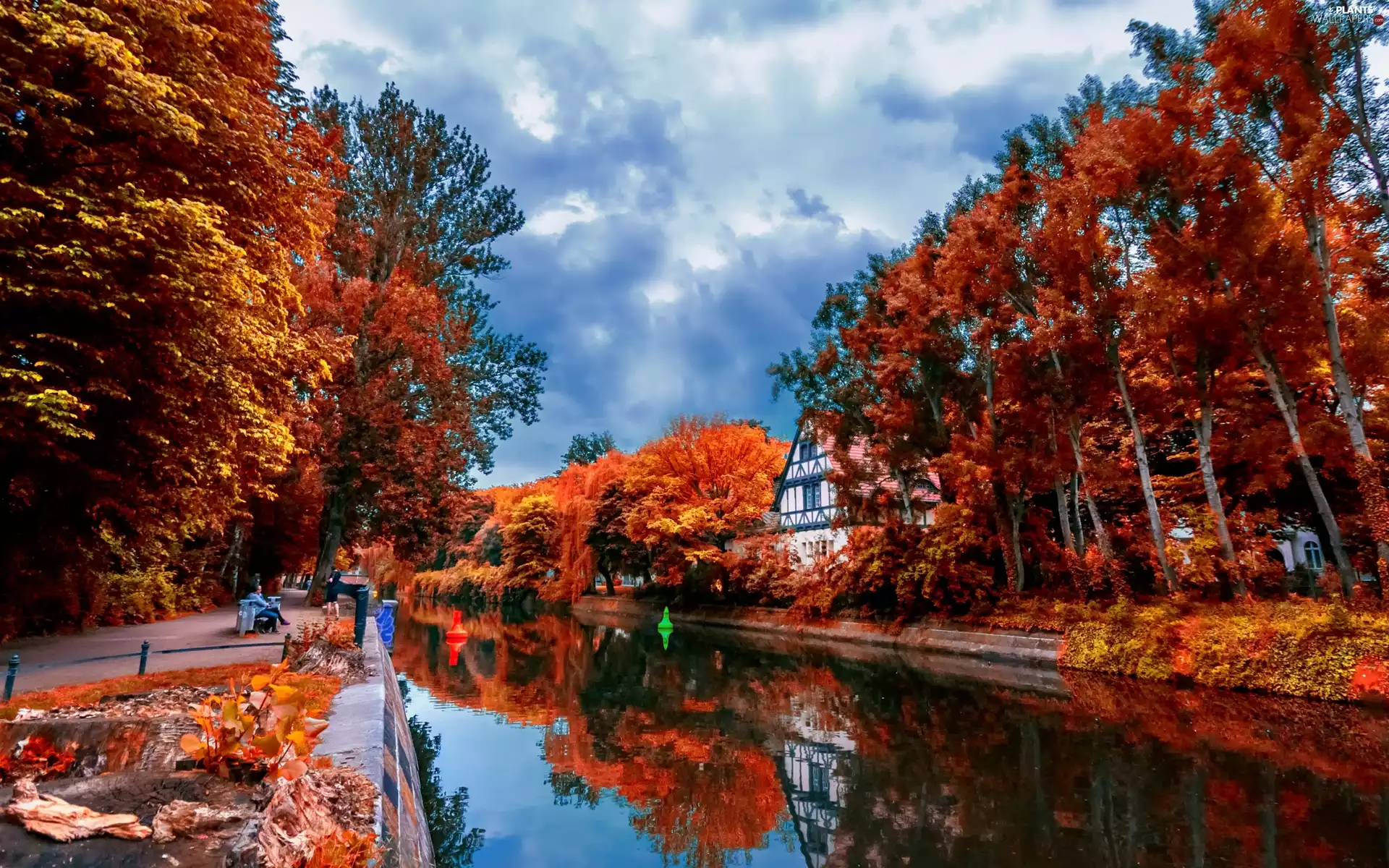River, autumn, trees, viewes, color