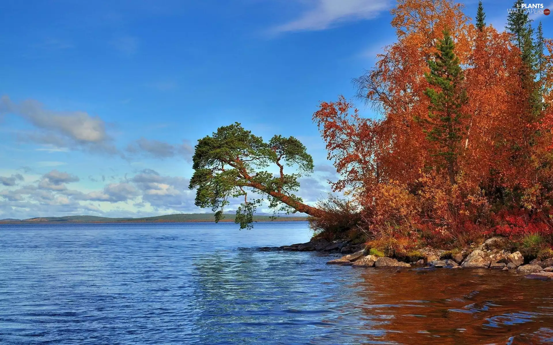 viewes, lake, Mountains, autumn, Stones, trees