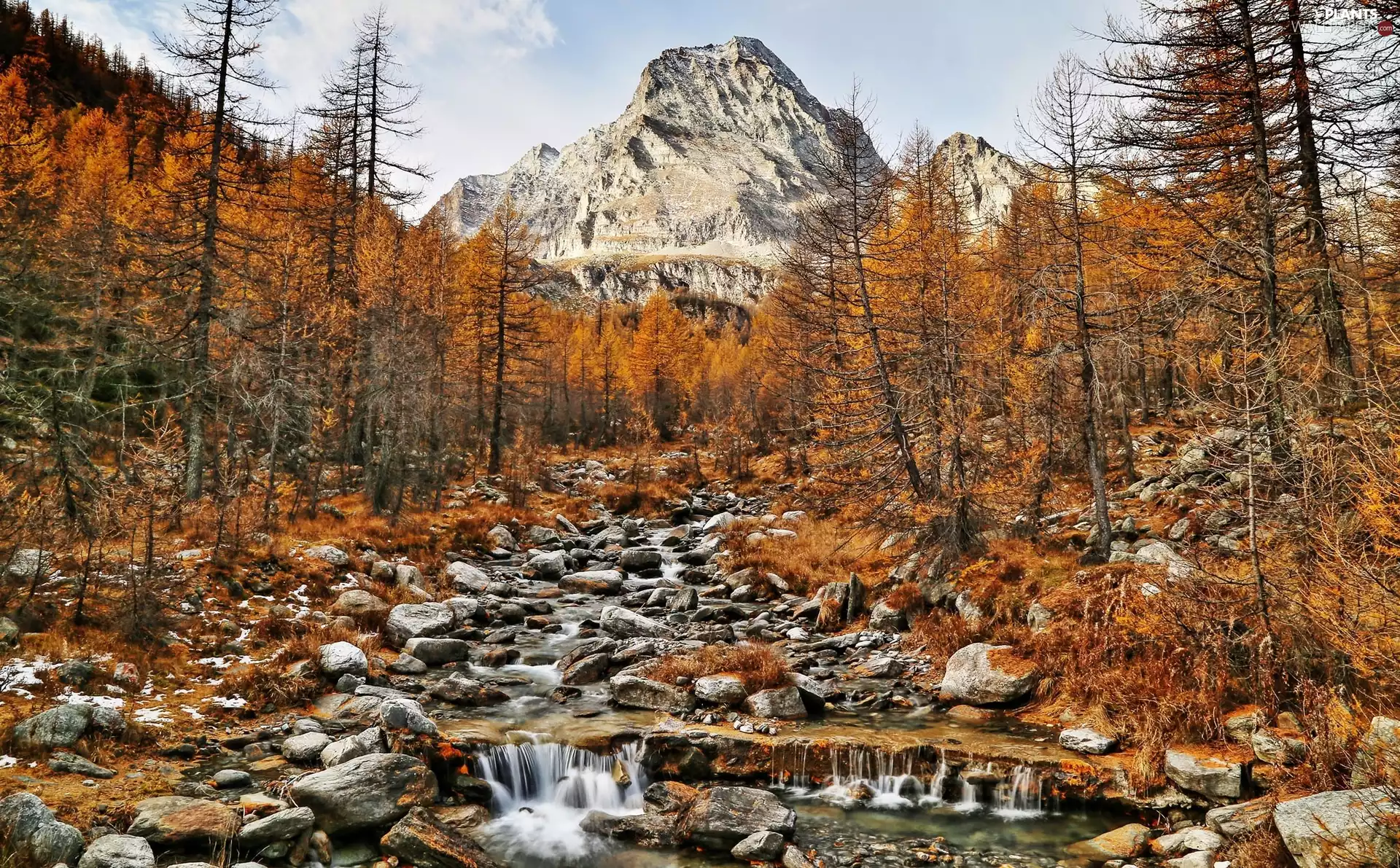 viewes, Mountains, Stones, autumn, brook, trees