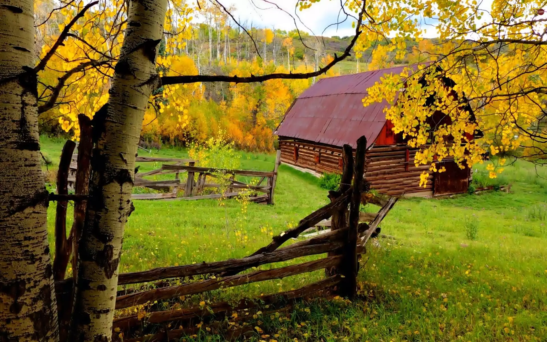 viewes, house, village, autumn, fence, trees