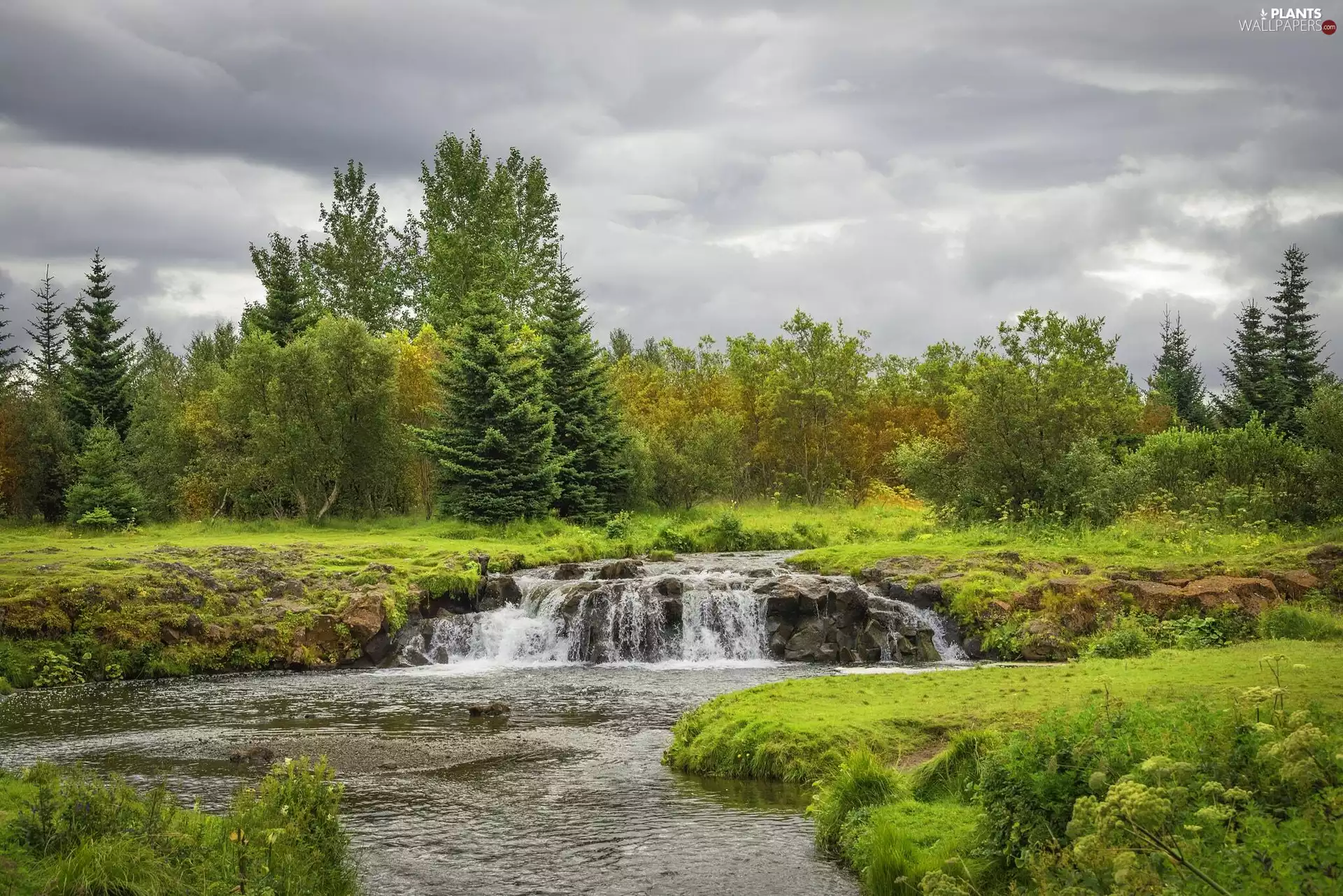 River, trees, clouds, autumn, VEGETATION, viewes