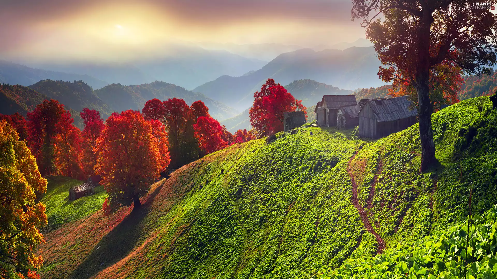 color, Hill, viewes, autumn, Mountains, trees, Barns