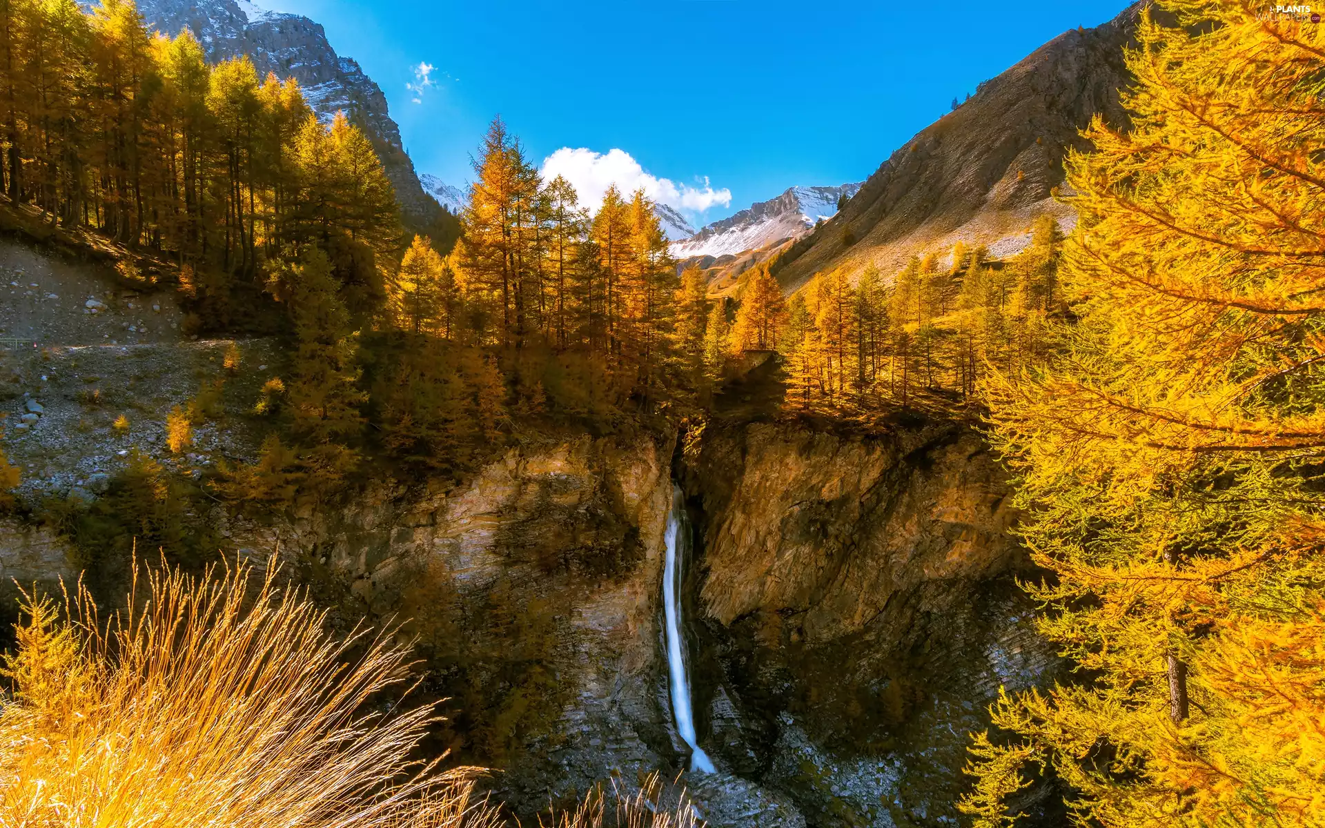 viewes, autumn, waterfall, trees, Mountains