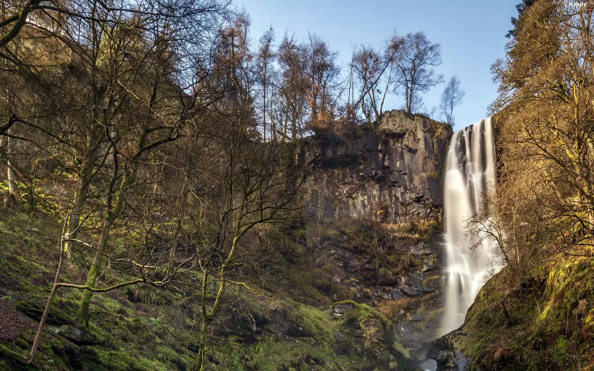viewes, autumn, waterfall, trees, Rocks