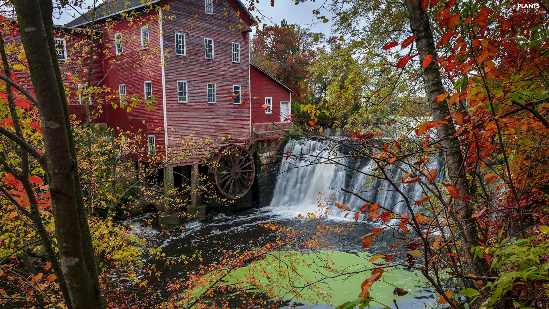 viewes, autumn, waterfall, trees, Watermill