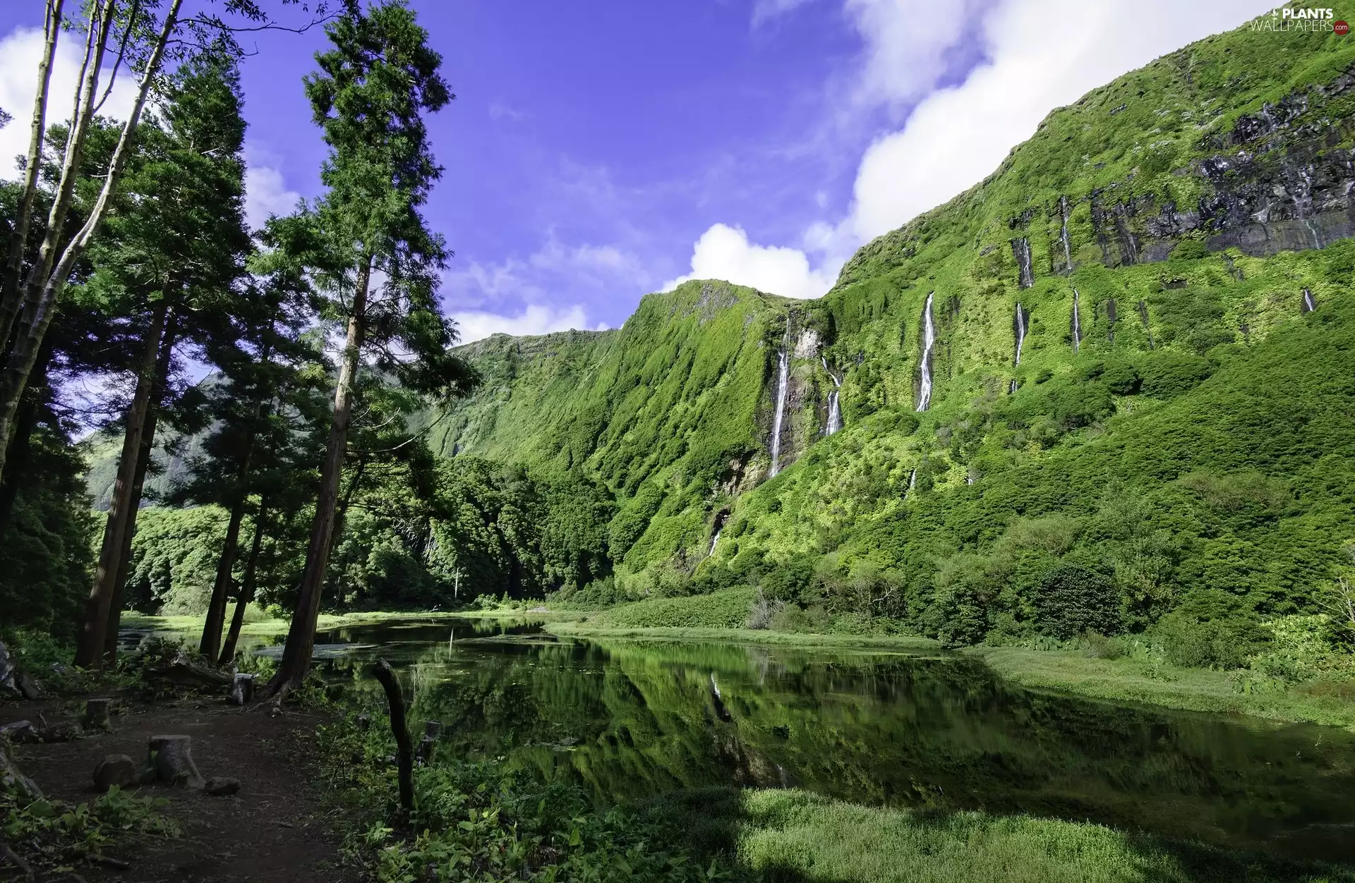 Mountains, Flores Island, trees, Poco de Bacalhau Falls, Portugal, lake, viewes