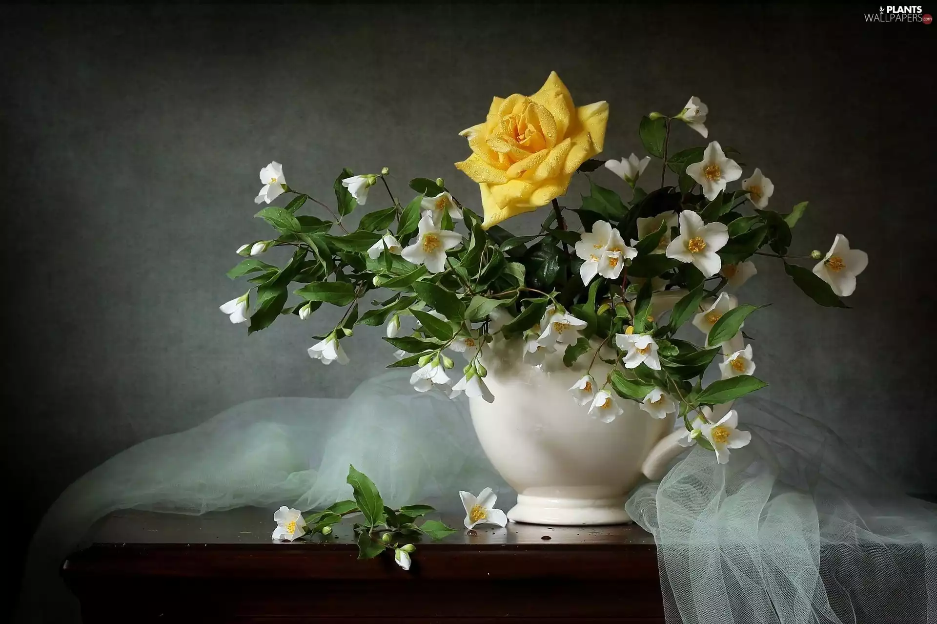 background, bouquet, Yellow Honda, jug, Flowers, Mock Orange, rose