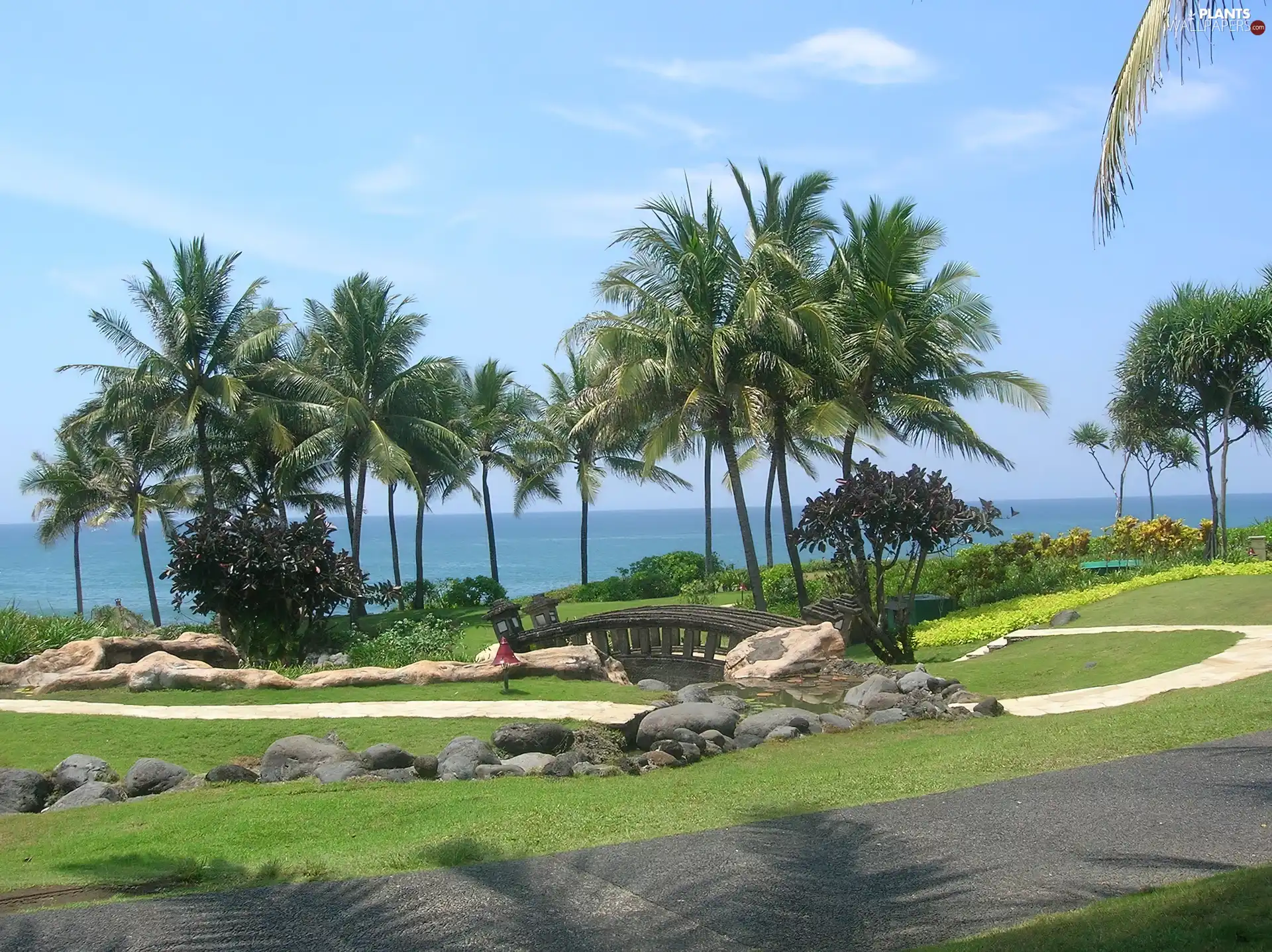 Park, Palms, Bali, bridges