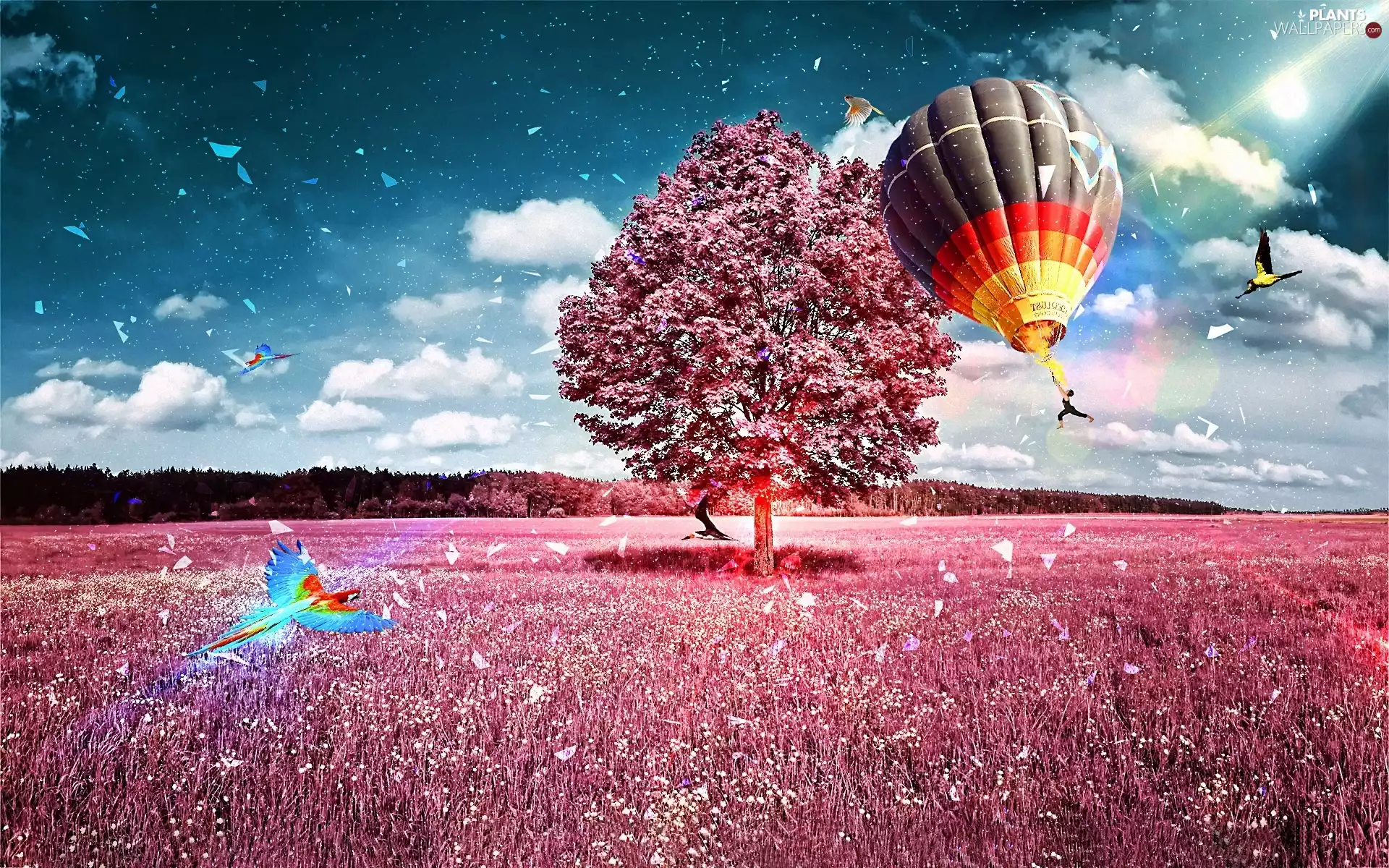 Meadow, Sky, trees, Balloon