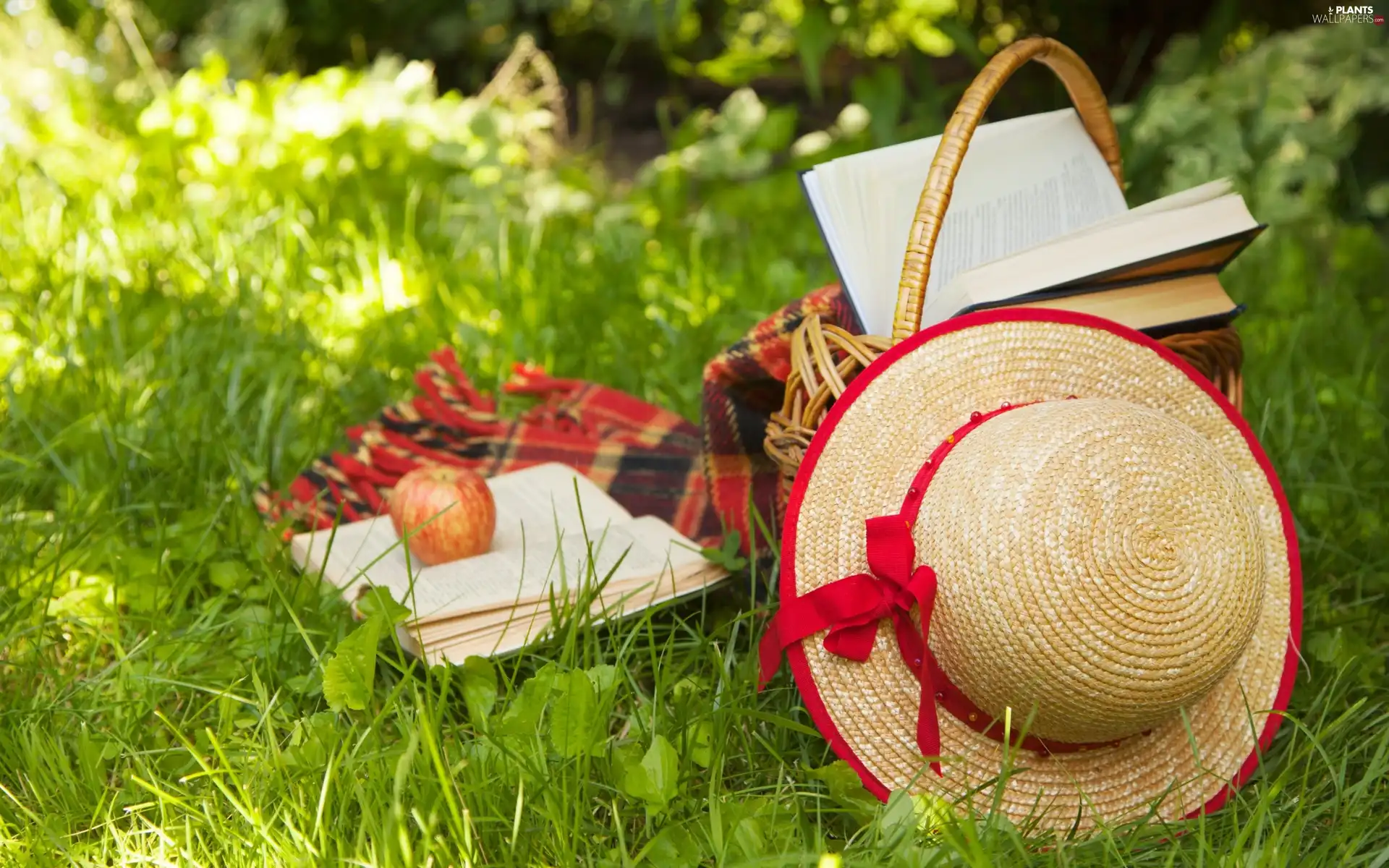 grass, Hat, basket, Apple